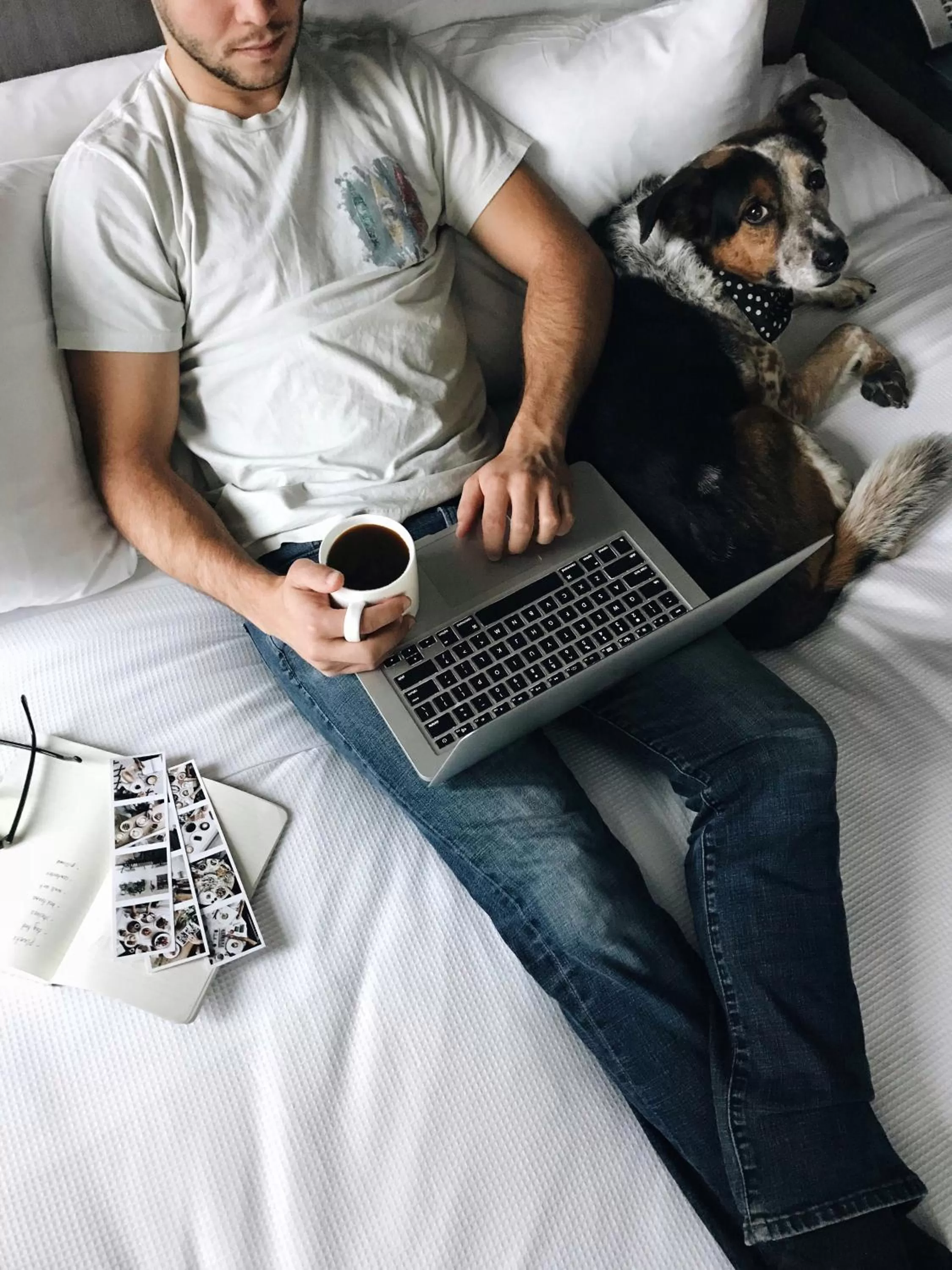 Pets, Bed in Hyatt House Portland/Beaverton