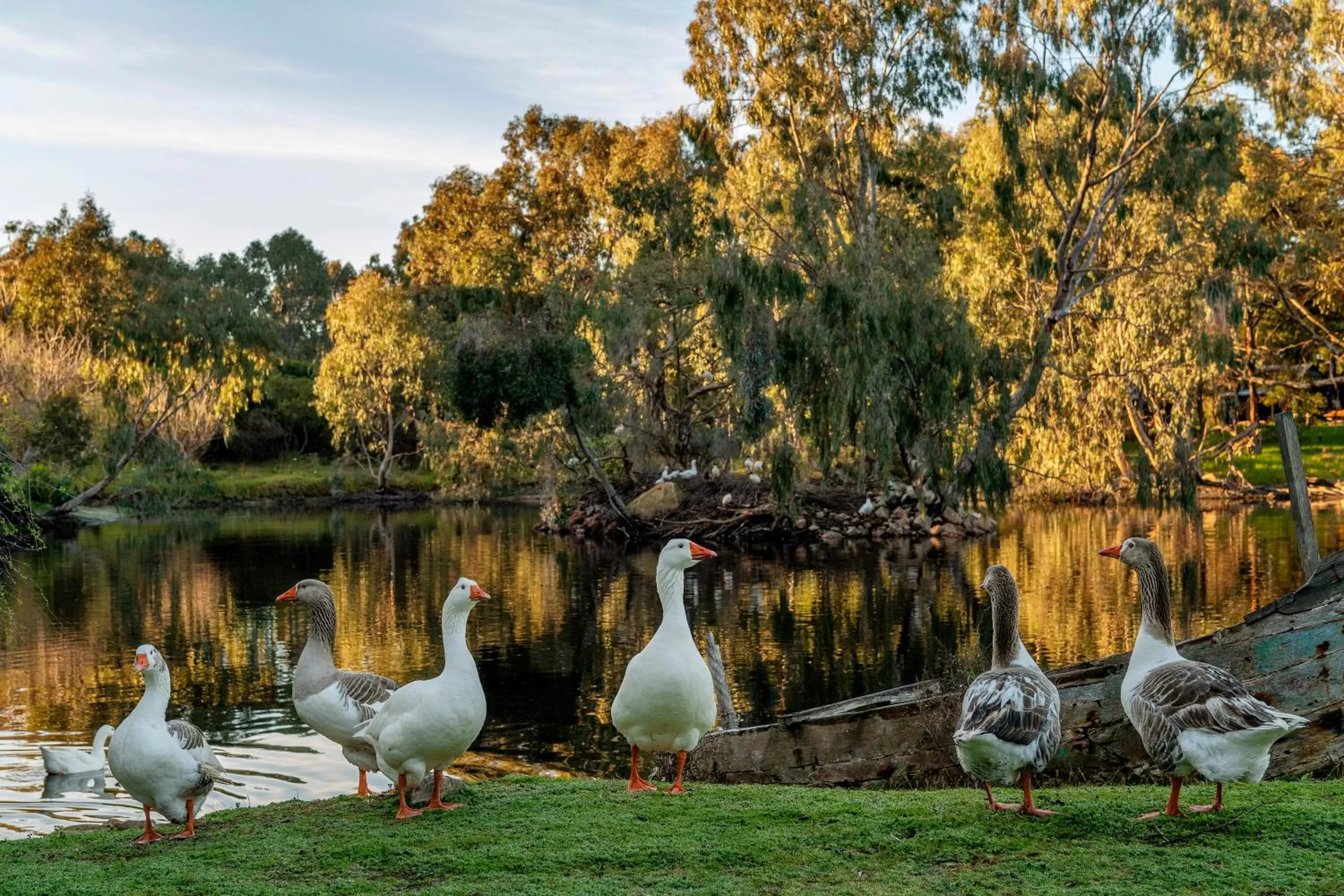 Natural landscape in Empire Spa Retreat