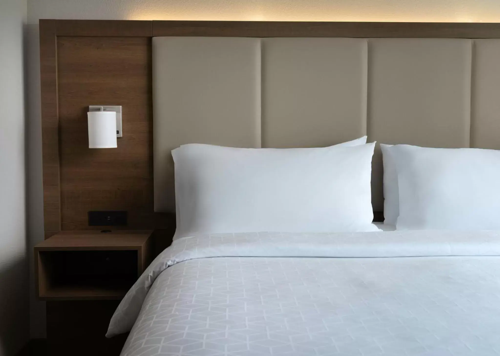 King Room - Non-Smoking in Holiday Inn Express Hotel & Suites Olive Branch, an IHG Hotel King Room - Non-Smoking in Holiday Inn Express Hotel & Suites Olive Branch, an IHG Hotel