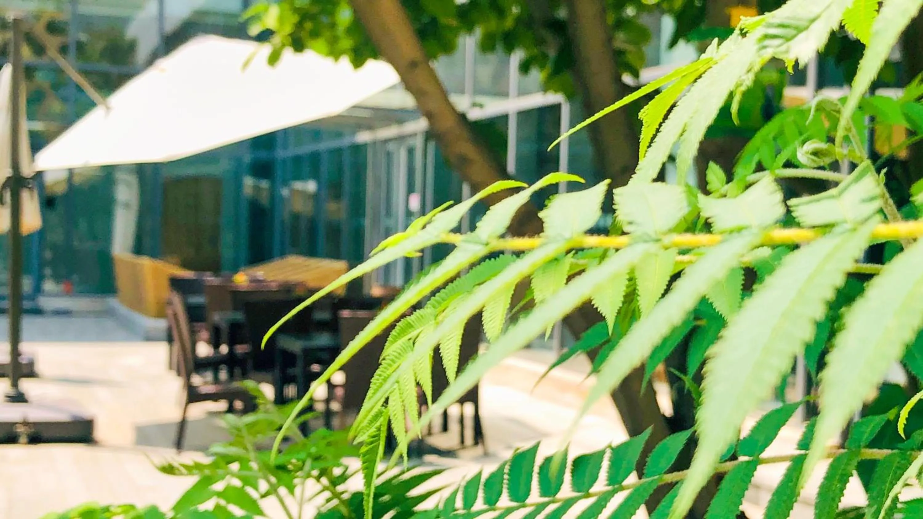 Property building in Holiday Inn Beijing Shijingshan Parkview by IHG