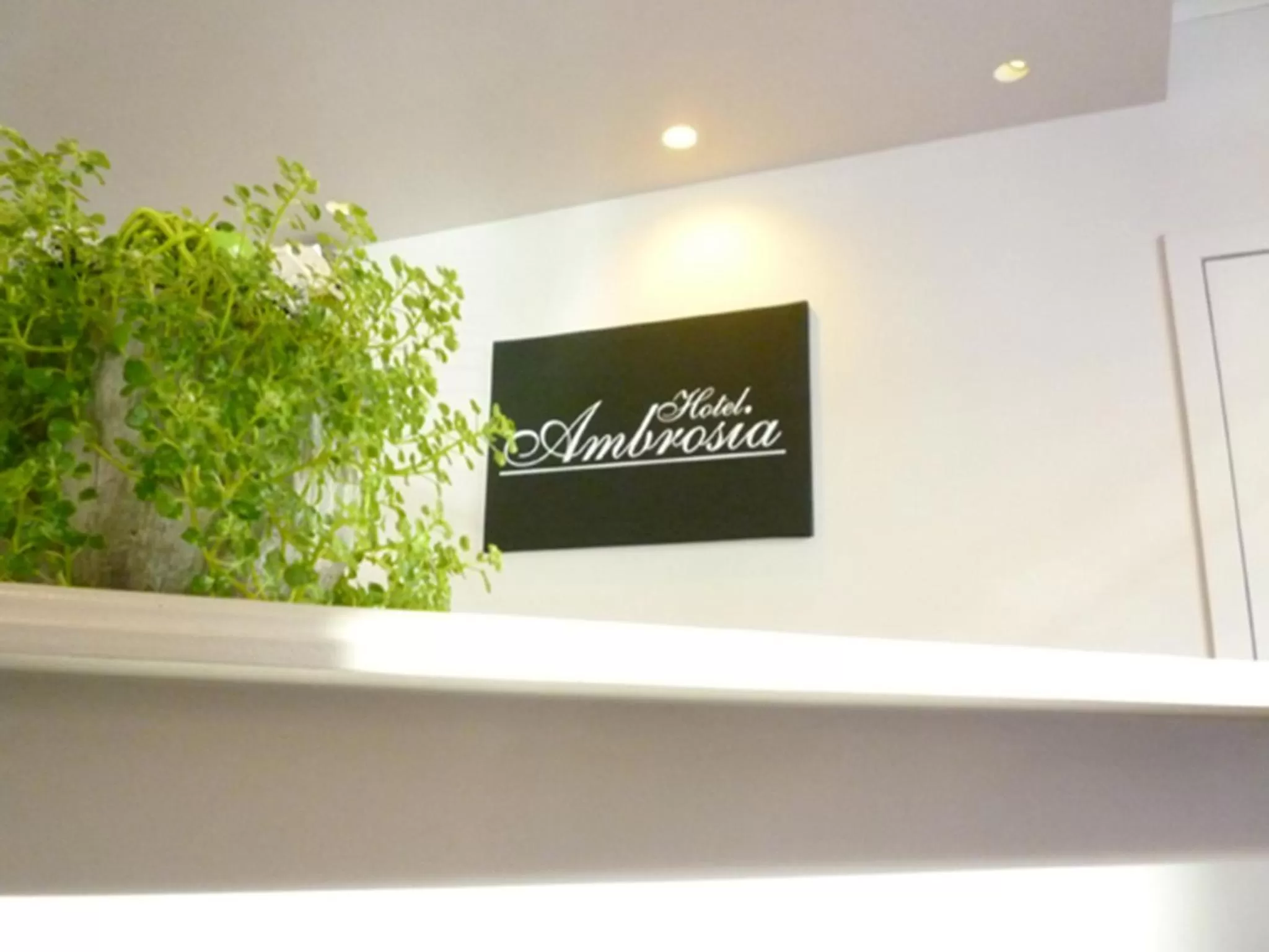 Lobby or reception in Hotel Ambrosia