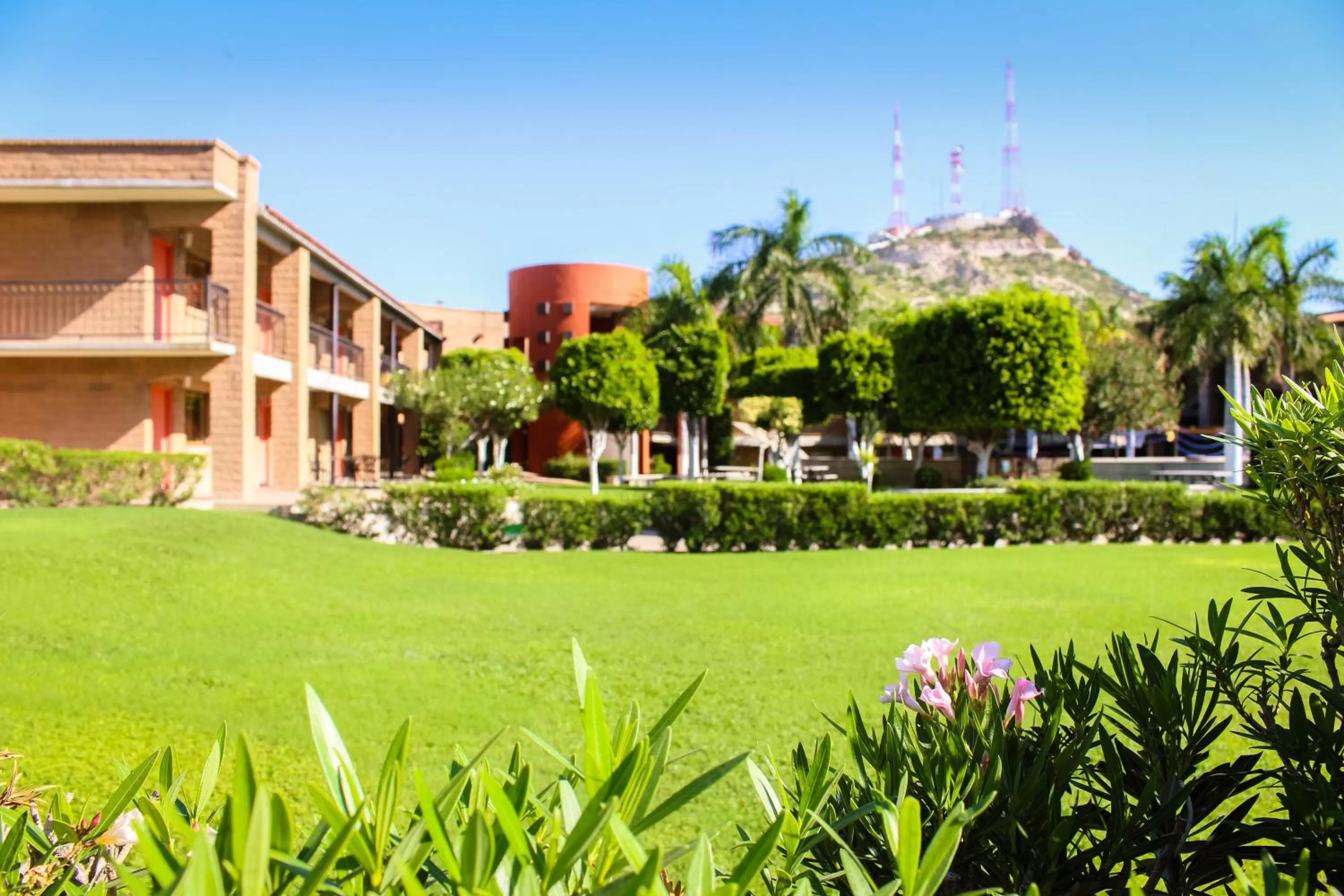 Natural landscape in Hotel Colonial Hermosillo