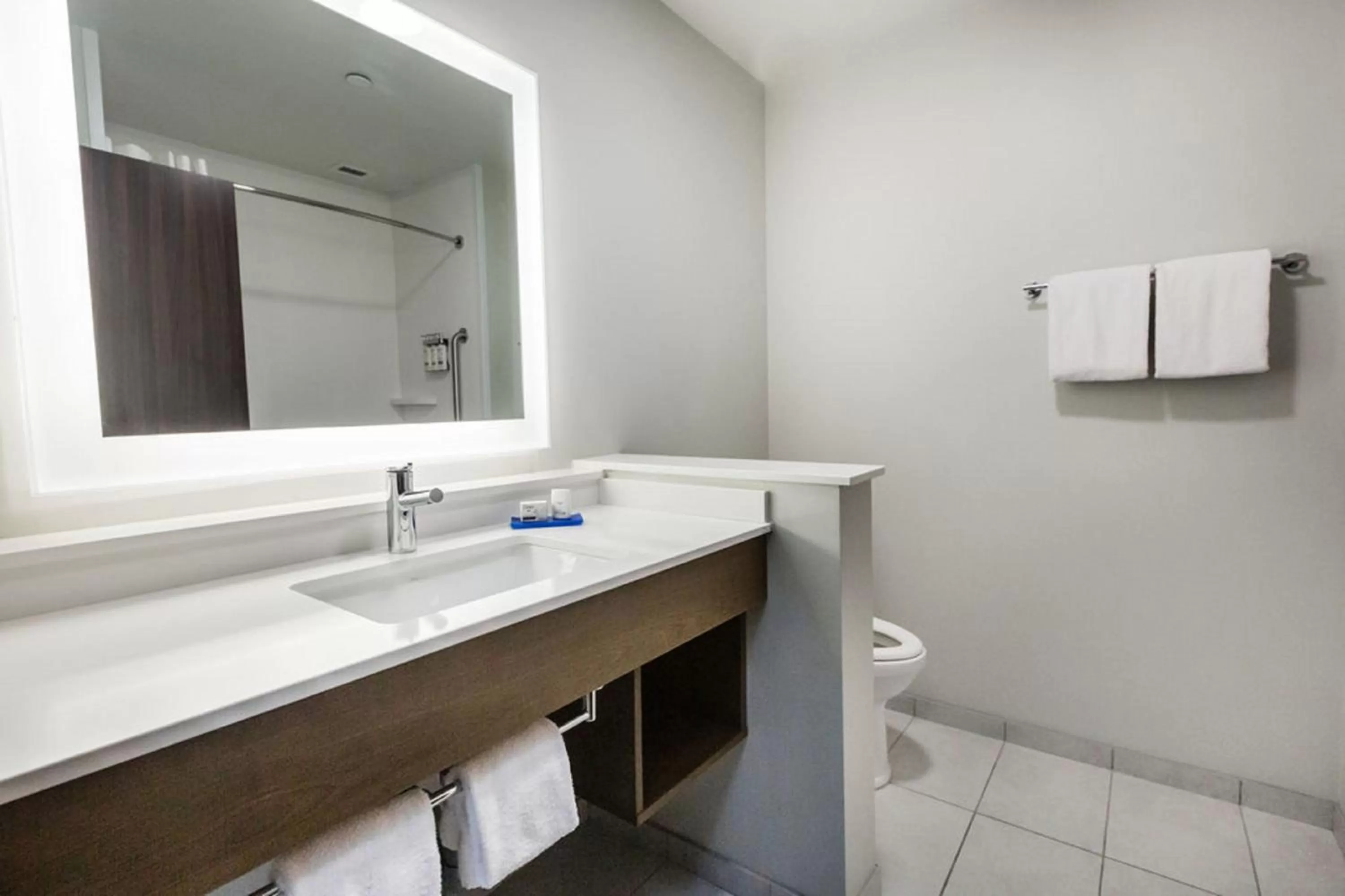 Bathroom in Holiday Inn Express & Suites Edmonton N - St Albert by IHG