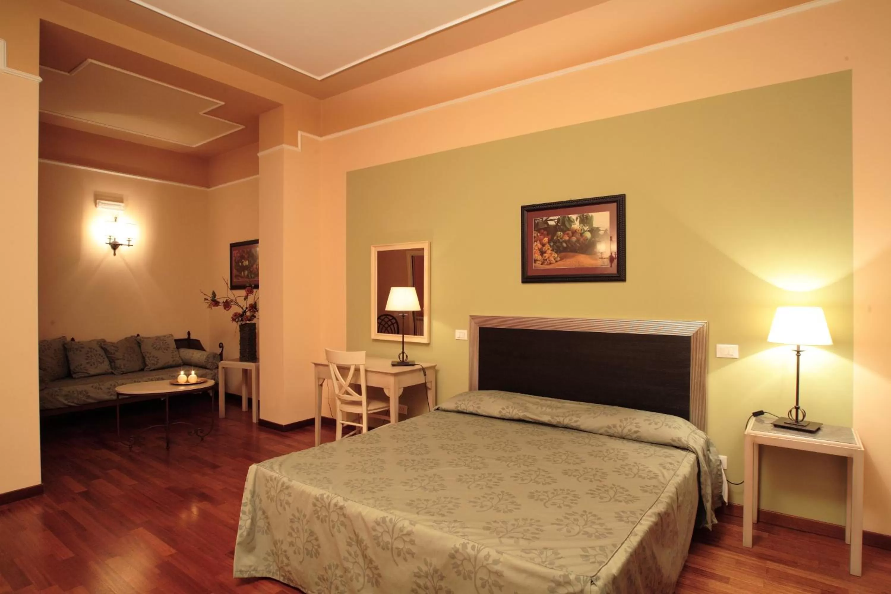 Deluxe Double Room - single occupancy in Hotel Ambasciatori