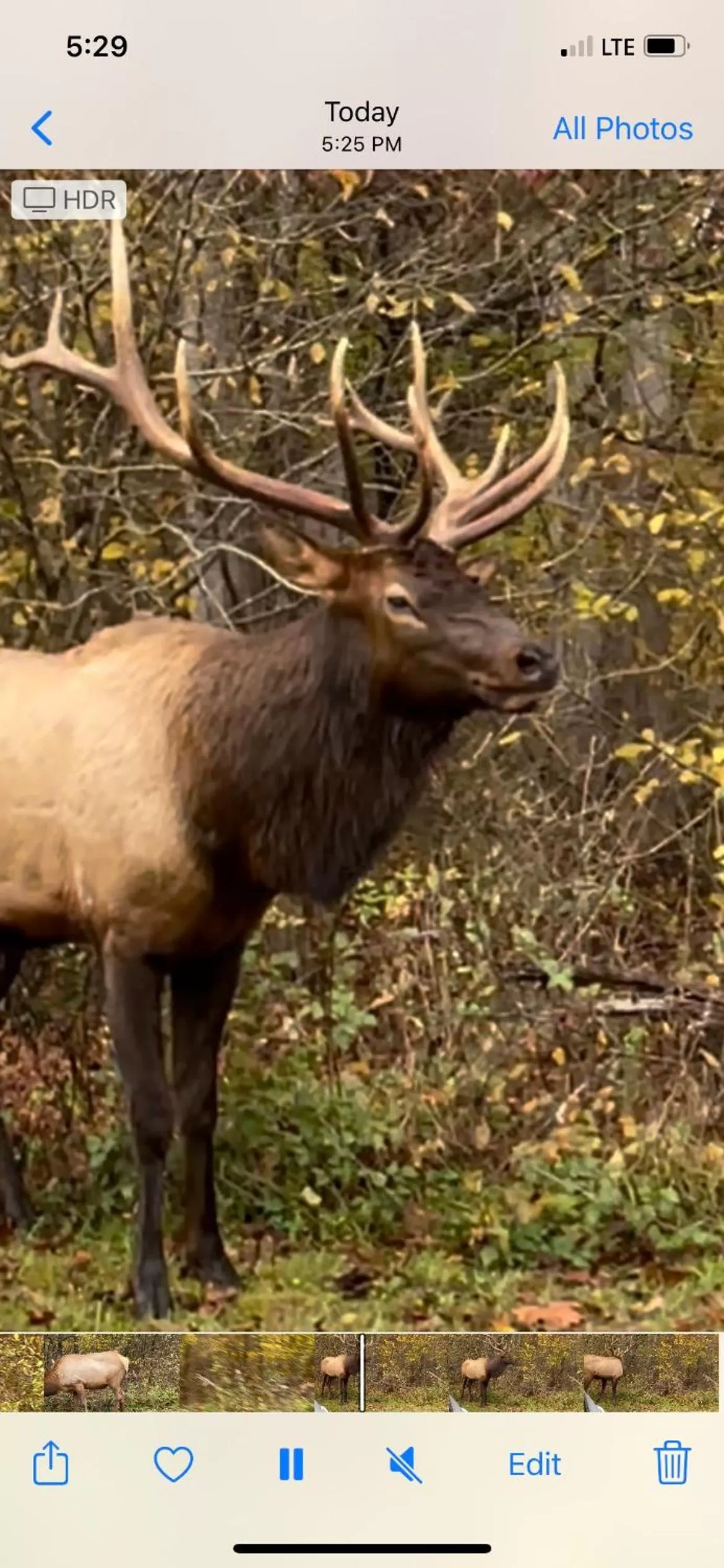The Lodge Nantahala River