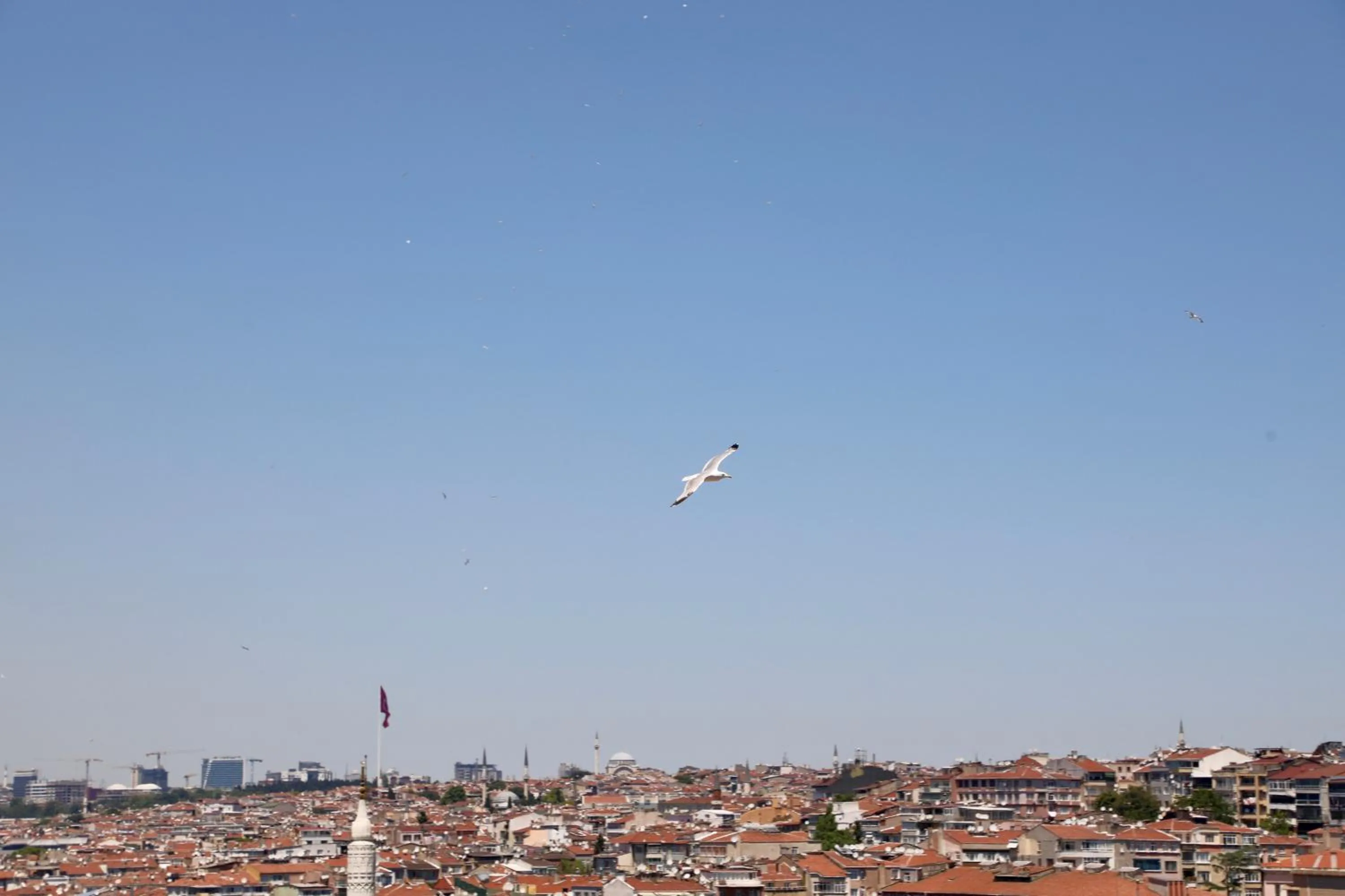 Day in Istanbul Royal Hotel