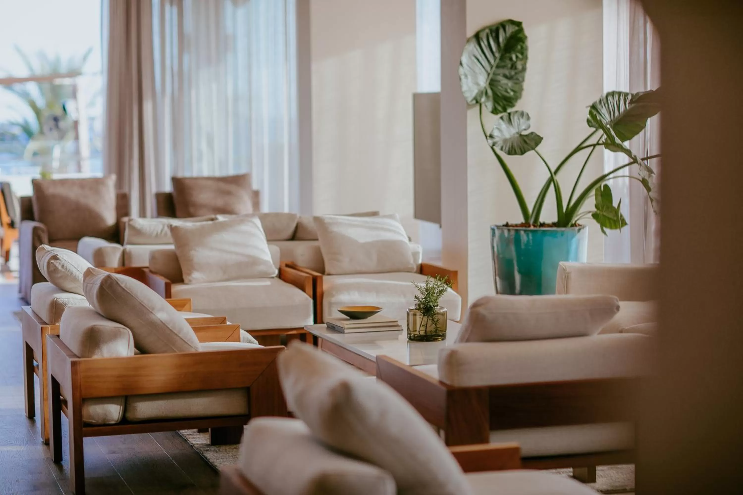 Restaurant/places to eat in Alion Beach Hotel