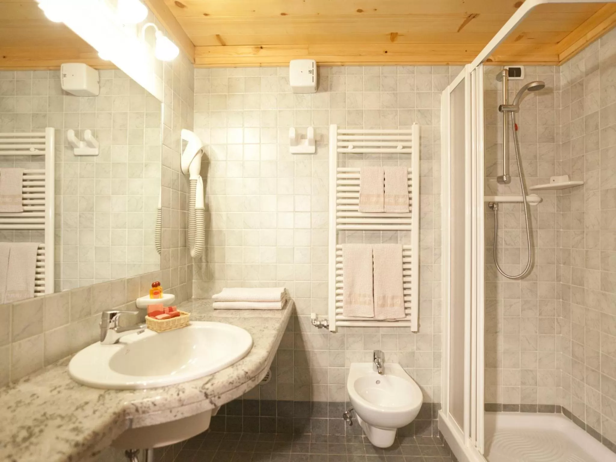 Shower in Hotel Europeo Alpine Charme & Wellness