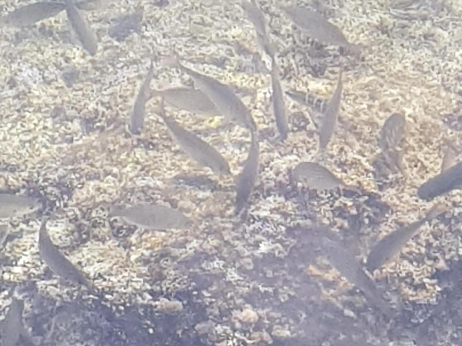 Albergo Milazzo Inn AiMori