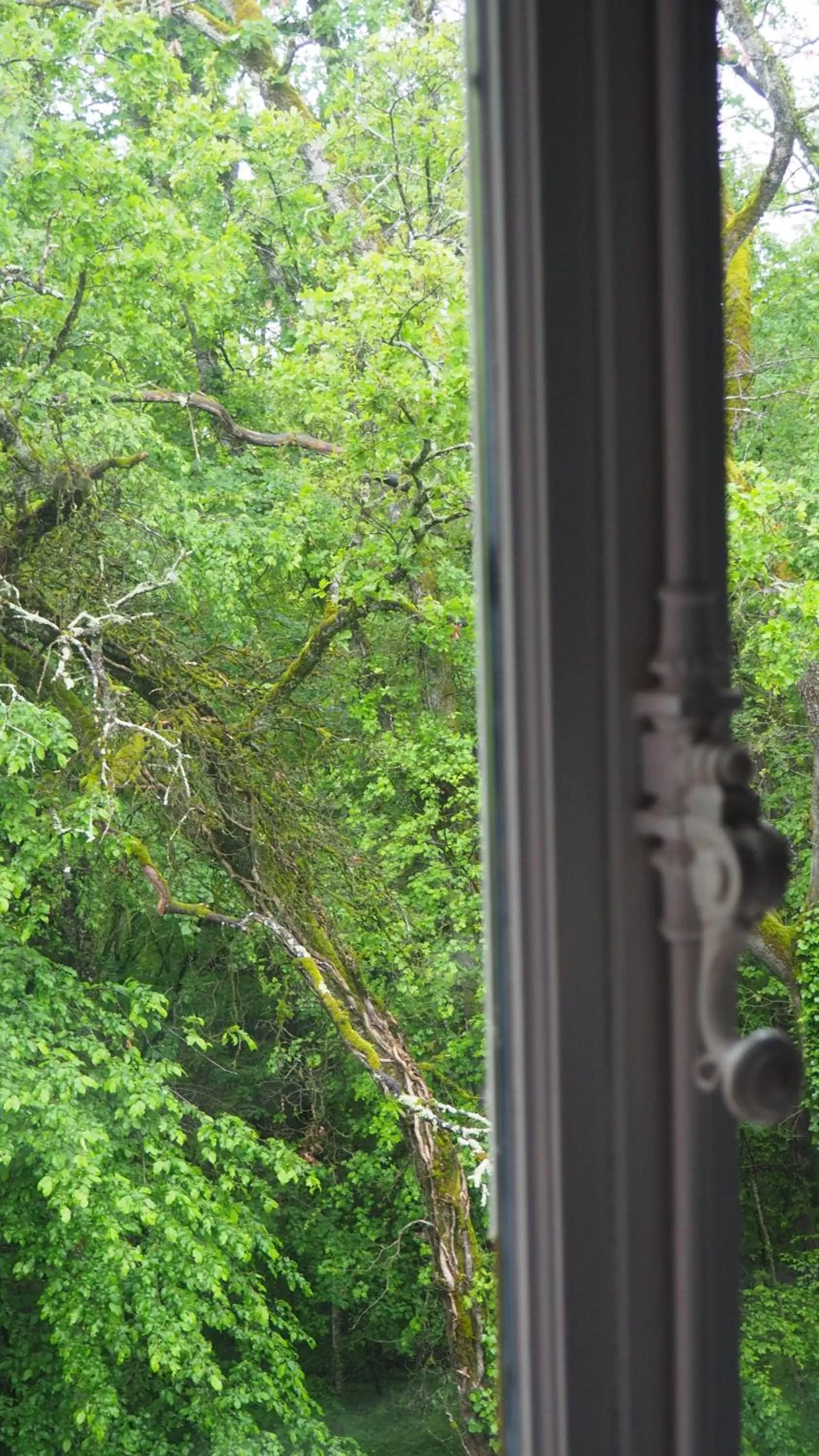 Garden view in La Garenne de Morestel