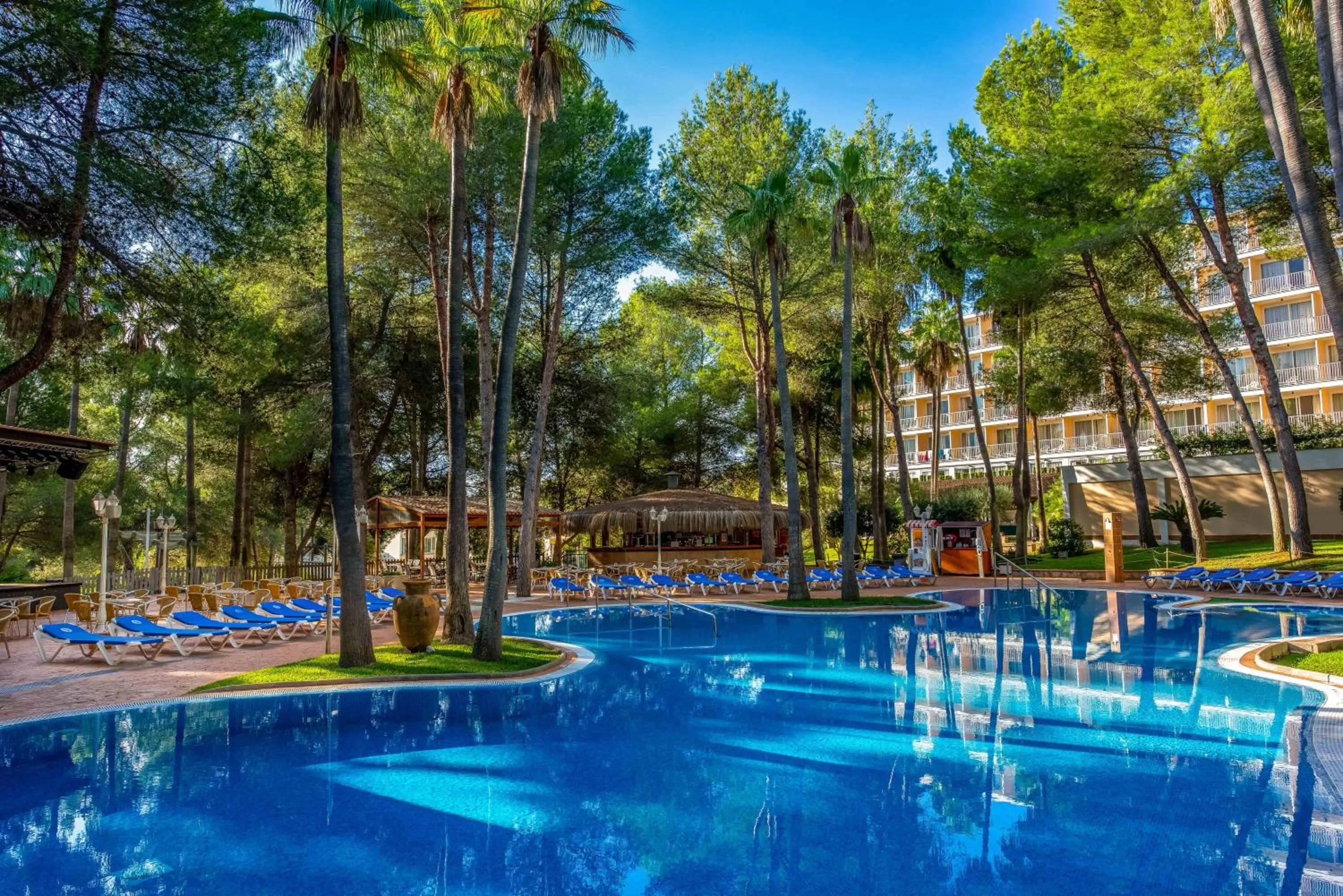 Swimming Pool in Valentin Park Club