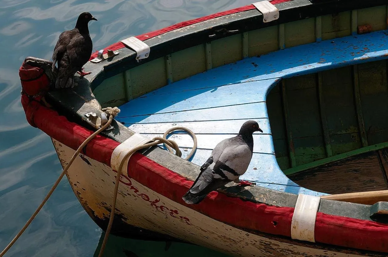 Area and facilities in Hotel Santa Maria