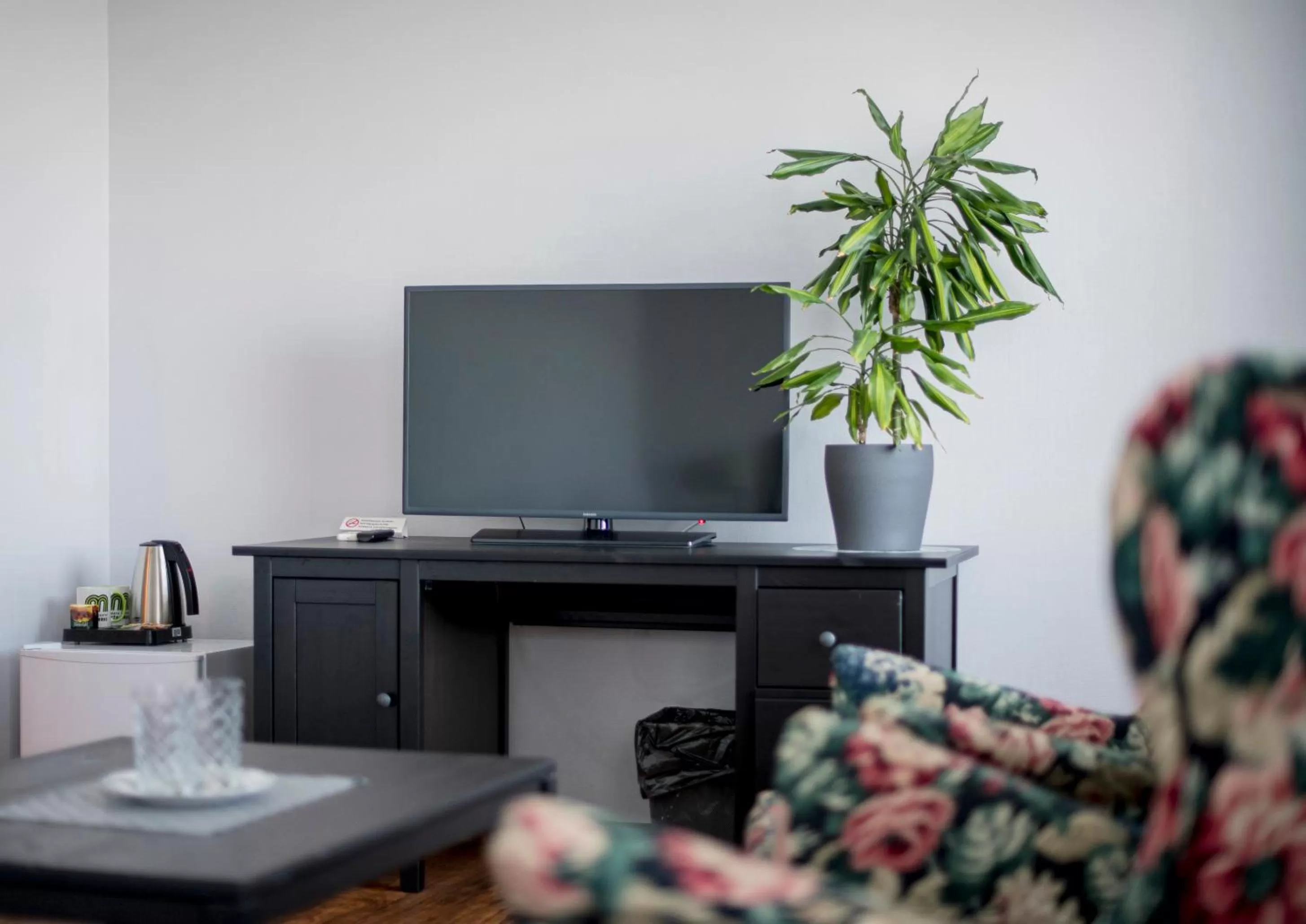 TV and multimedia in Hotel Mezaparks