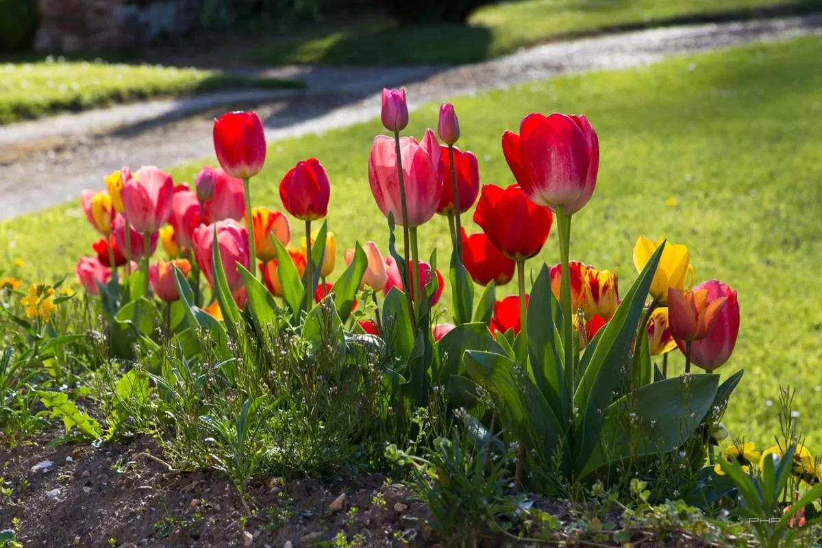 Auberge du Manoir d'Archelles