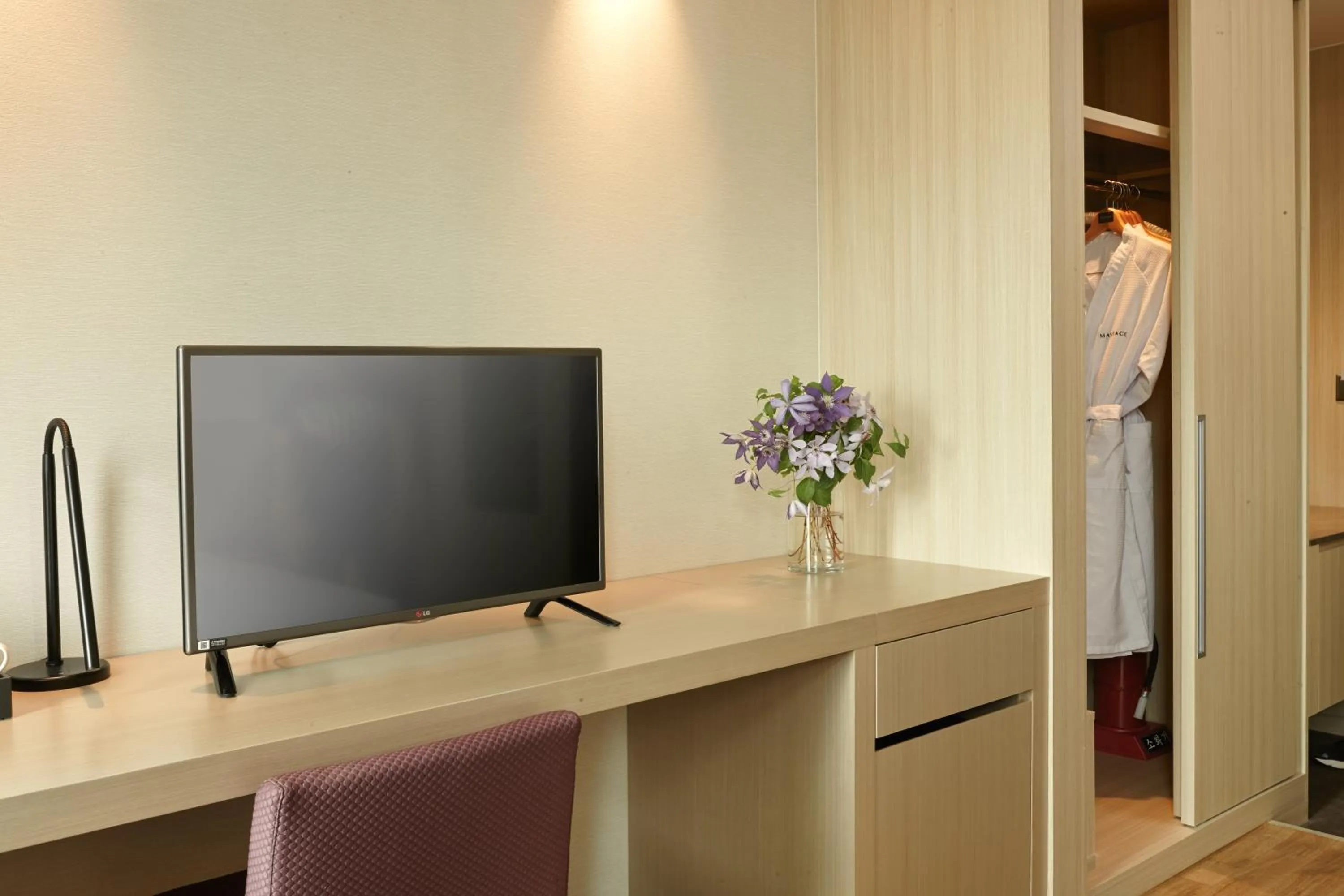 TV and multimedia in Mayplace Hotel