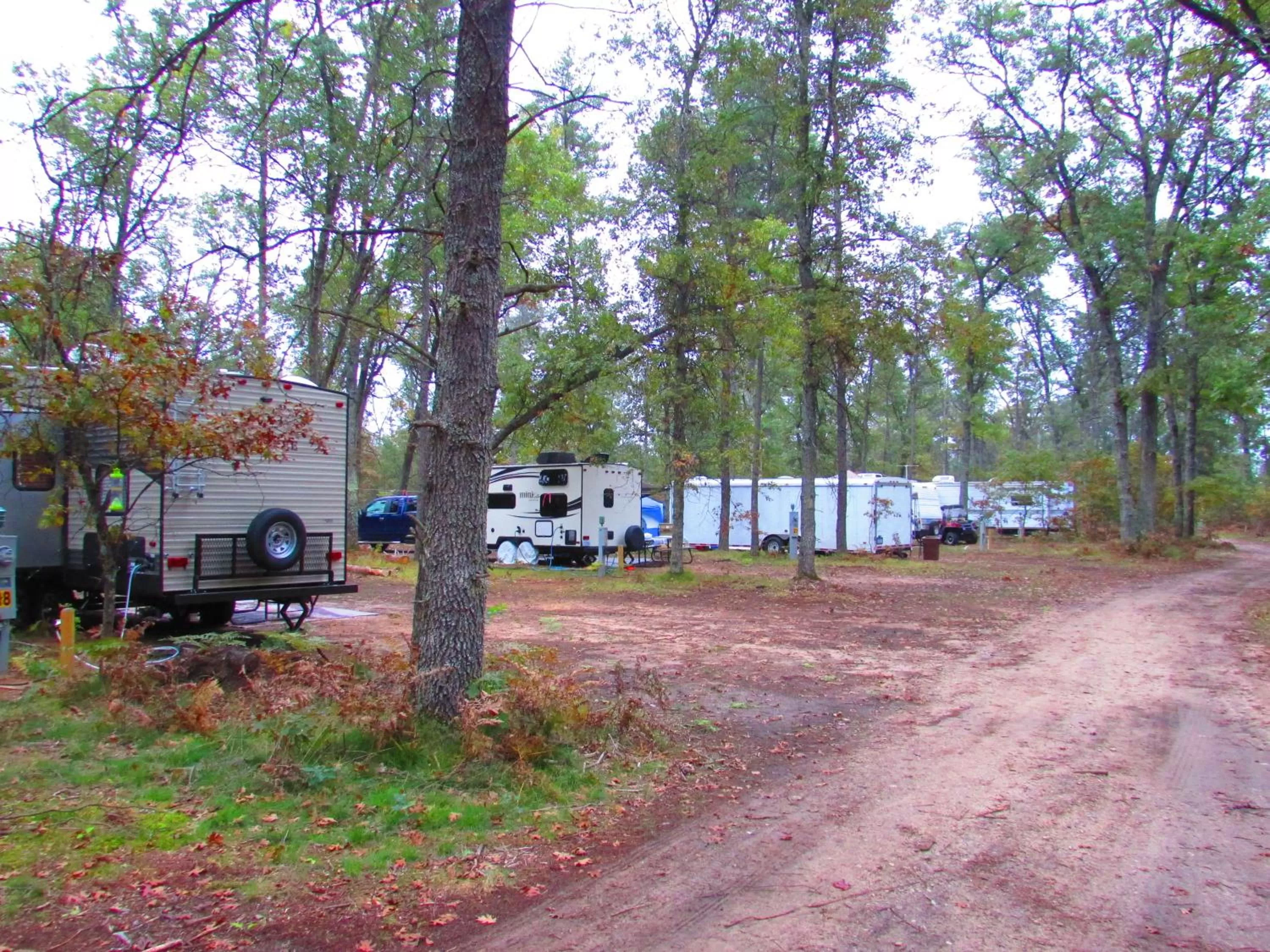 Property Building in Best Bear Lodge