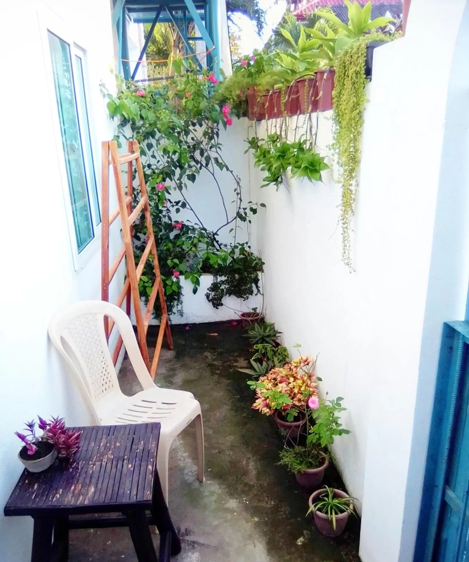 Day in Gaja Go Dive & Inn