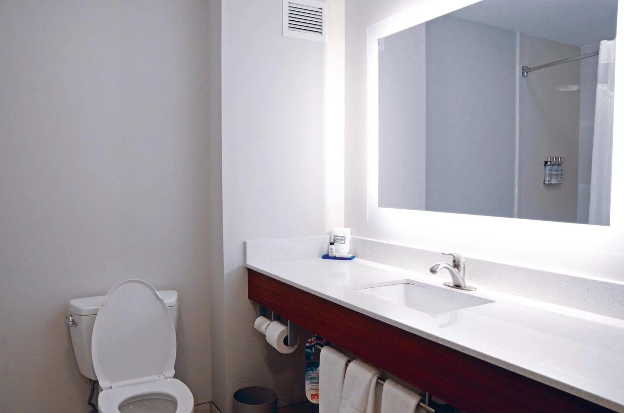 Bathroom in Holiday Inn Express Hotel & Suites Mount Juliet - Nashville Area by IHG