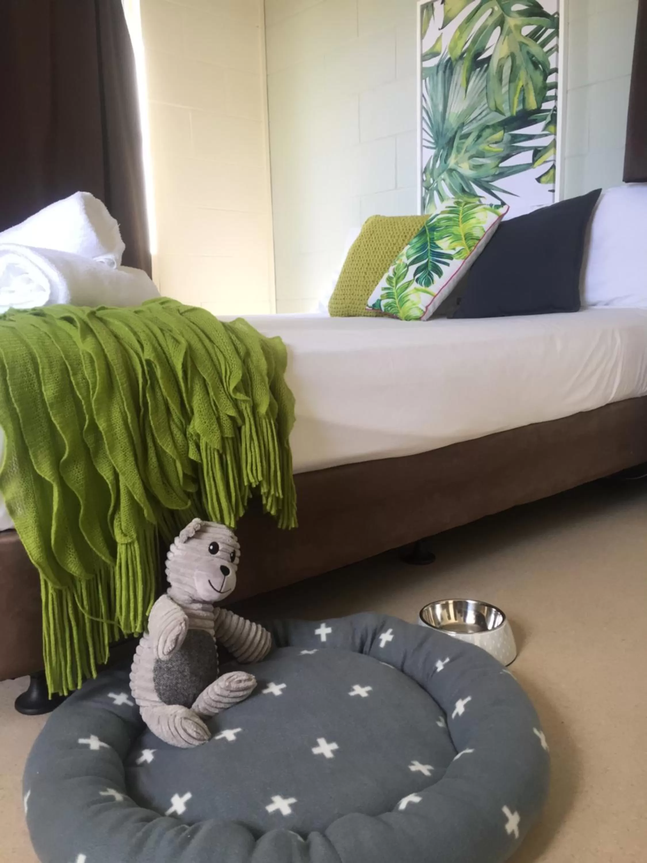 Pets, Bed in Cardwell at the Beach