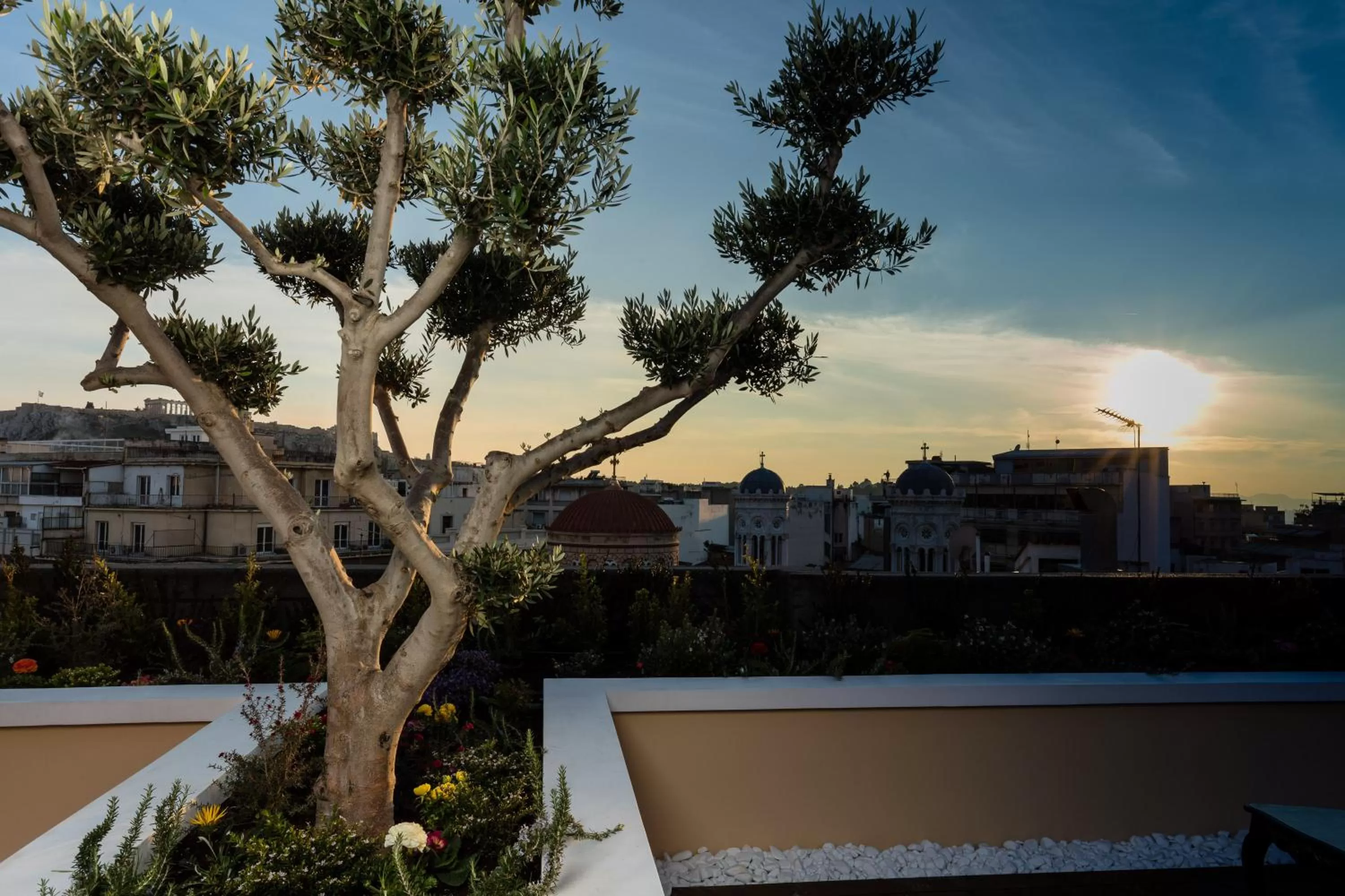 Restaurant/places to eat in Athens Mansion Luxury Suites