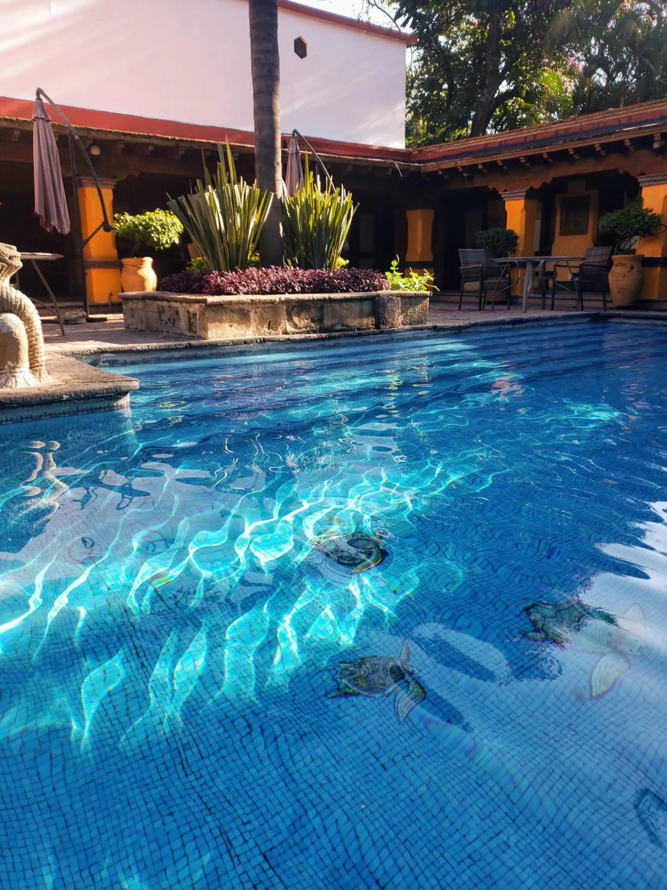 Day in La Joyita Cuernavaca