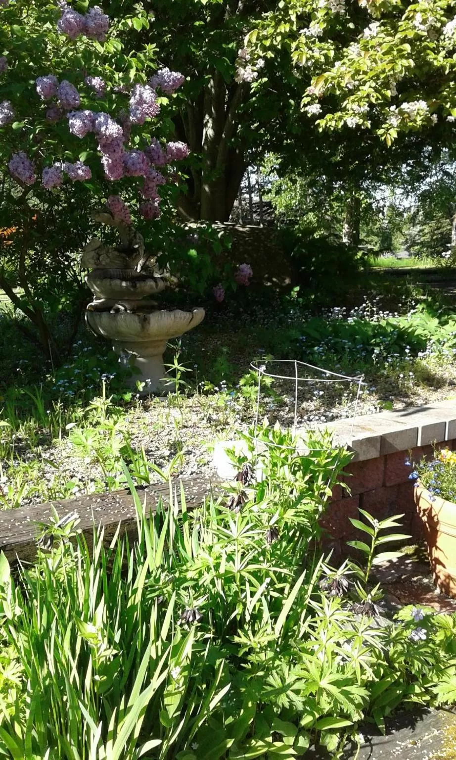 Alaska Chalet Bed & Breakfast