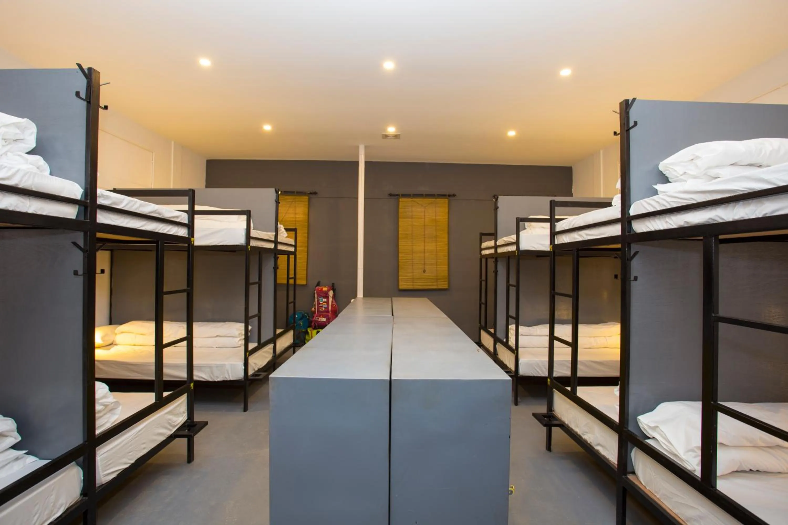 bunk bed, Bed in Yakety Yak Hostel