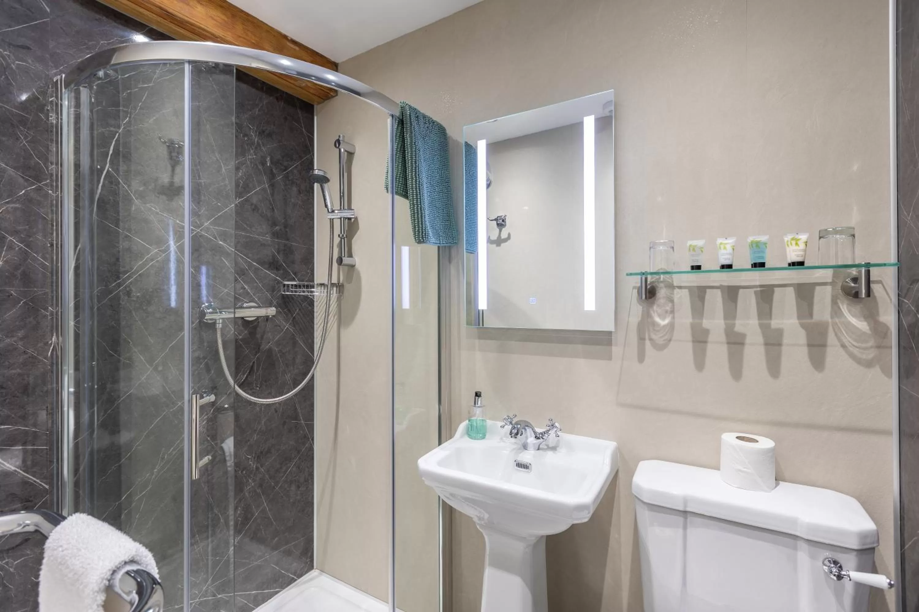 Shower in The Black Swan Inn