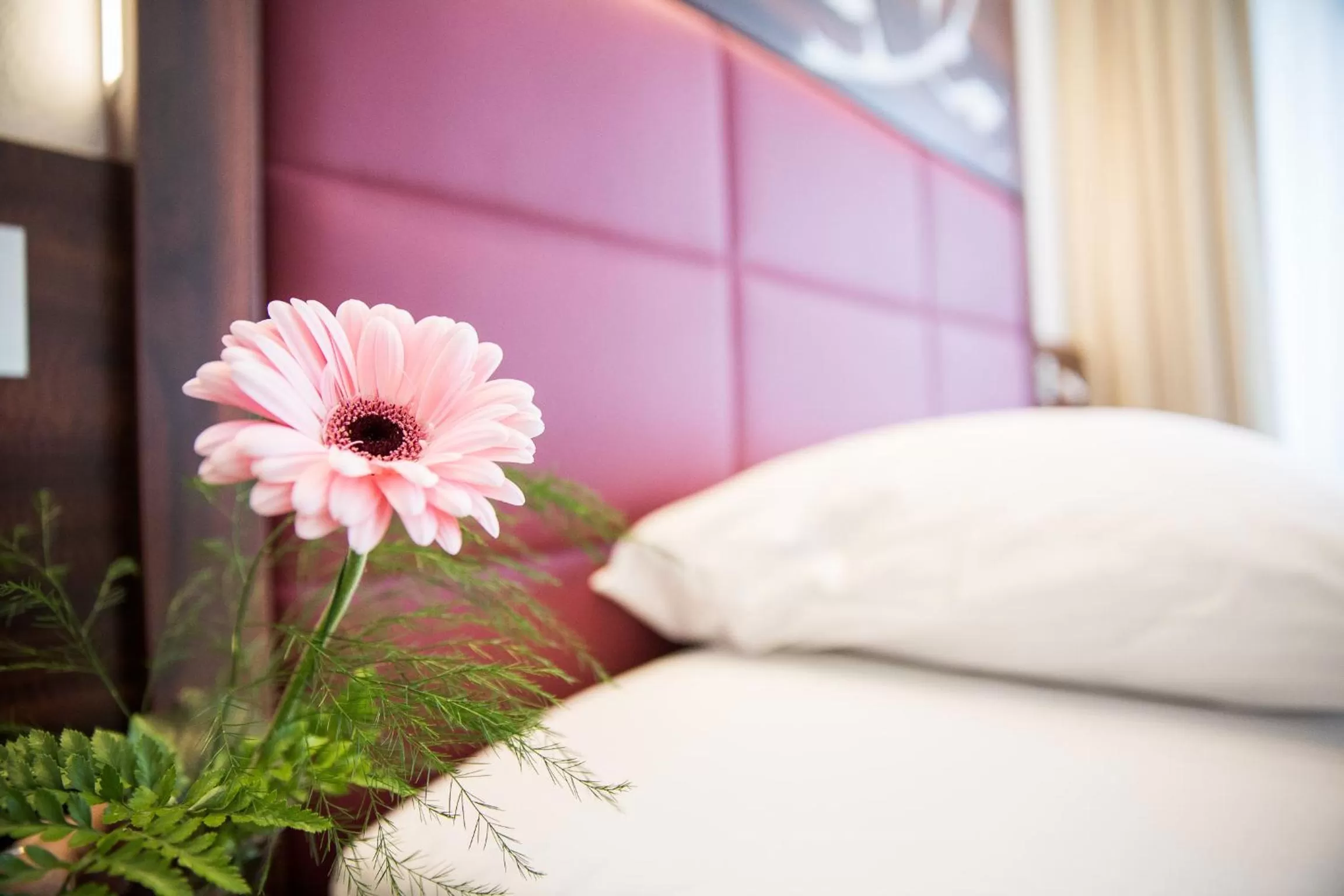 Bed in Hotel Scheuble