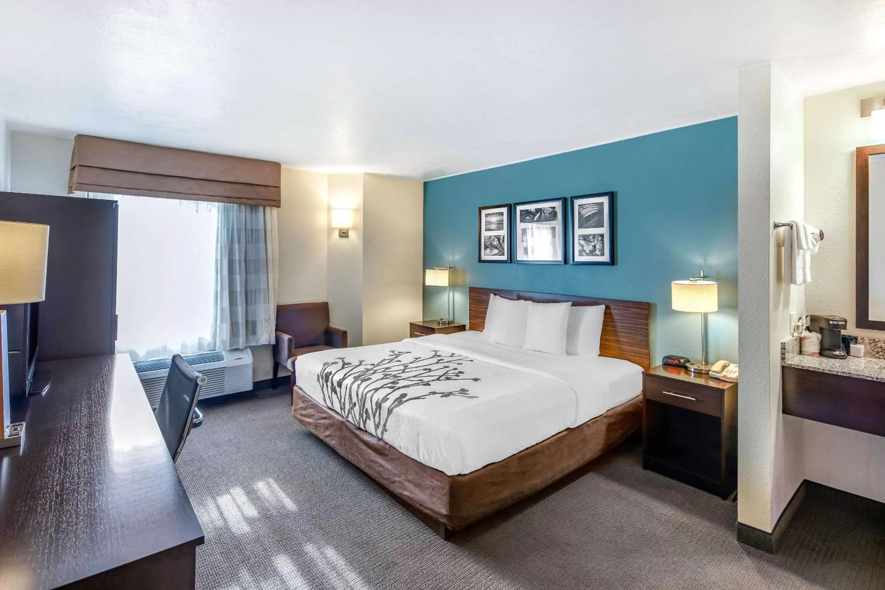 Photo of the whole room, Bed in Sleep Inn near Washington State Line