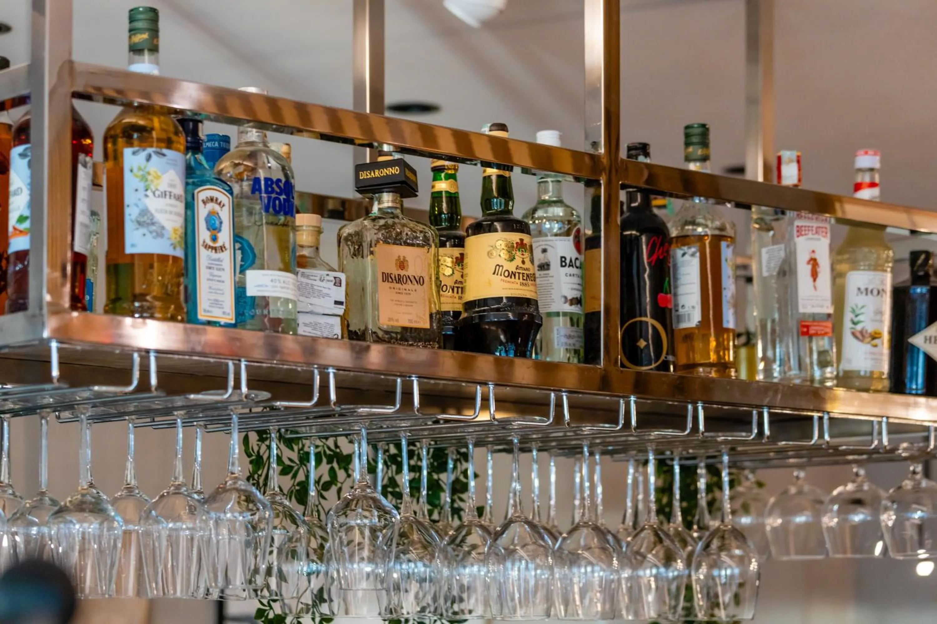 Lounge or bar in Royal Blue Resort & Residences