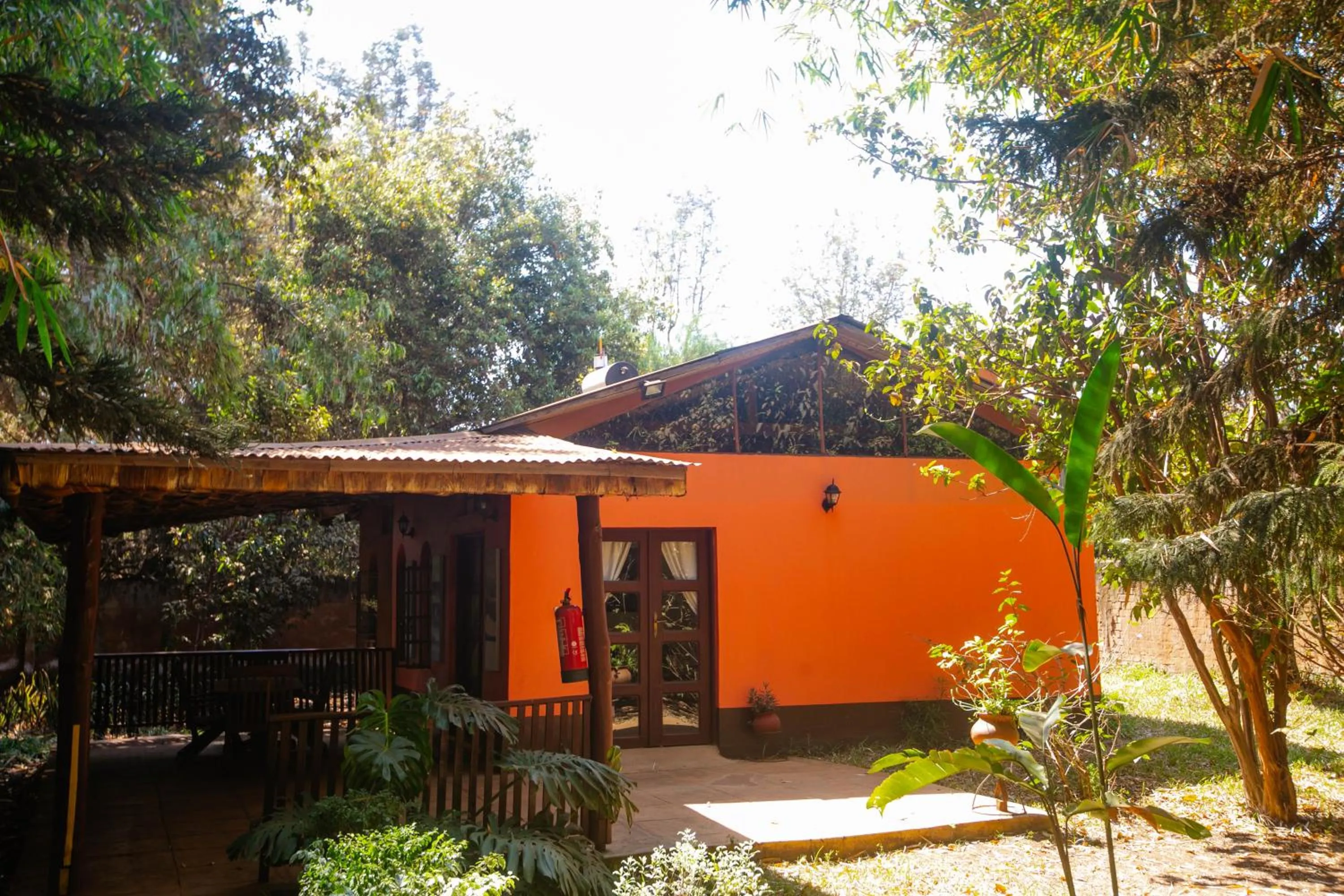 View (from property/room) in Octagon Lodge