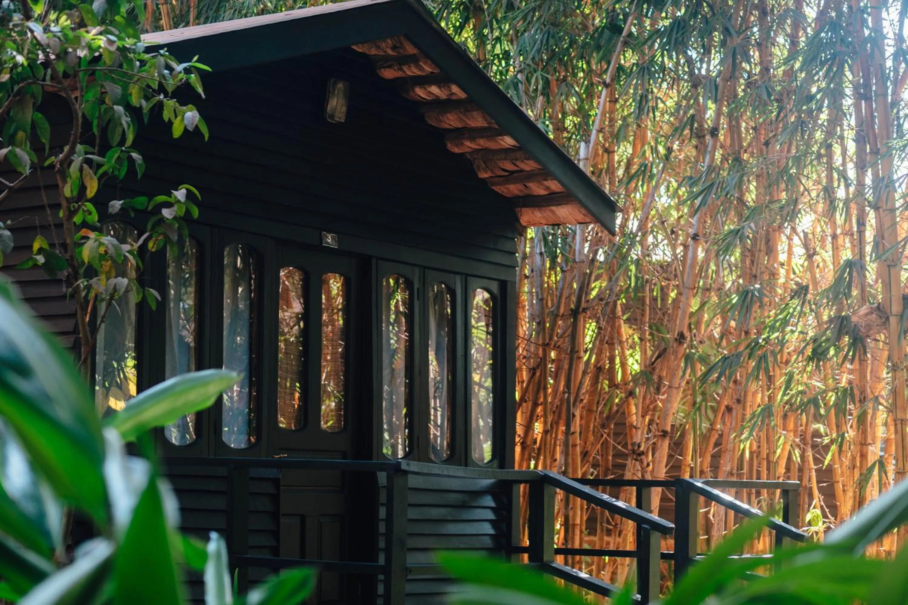 Natural landscape in Octagon Lodge