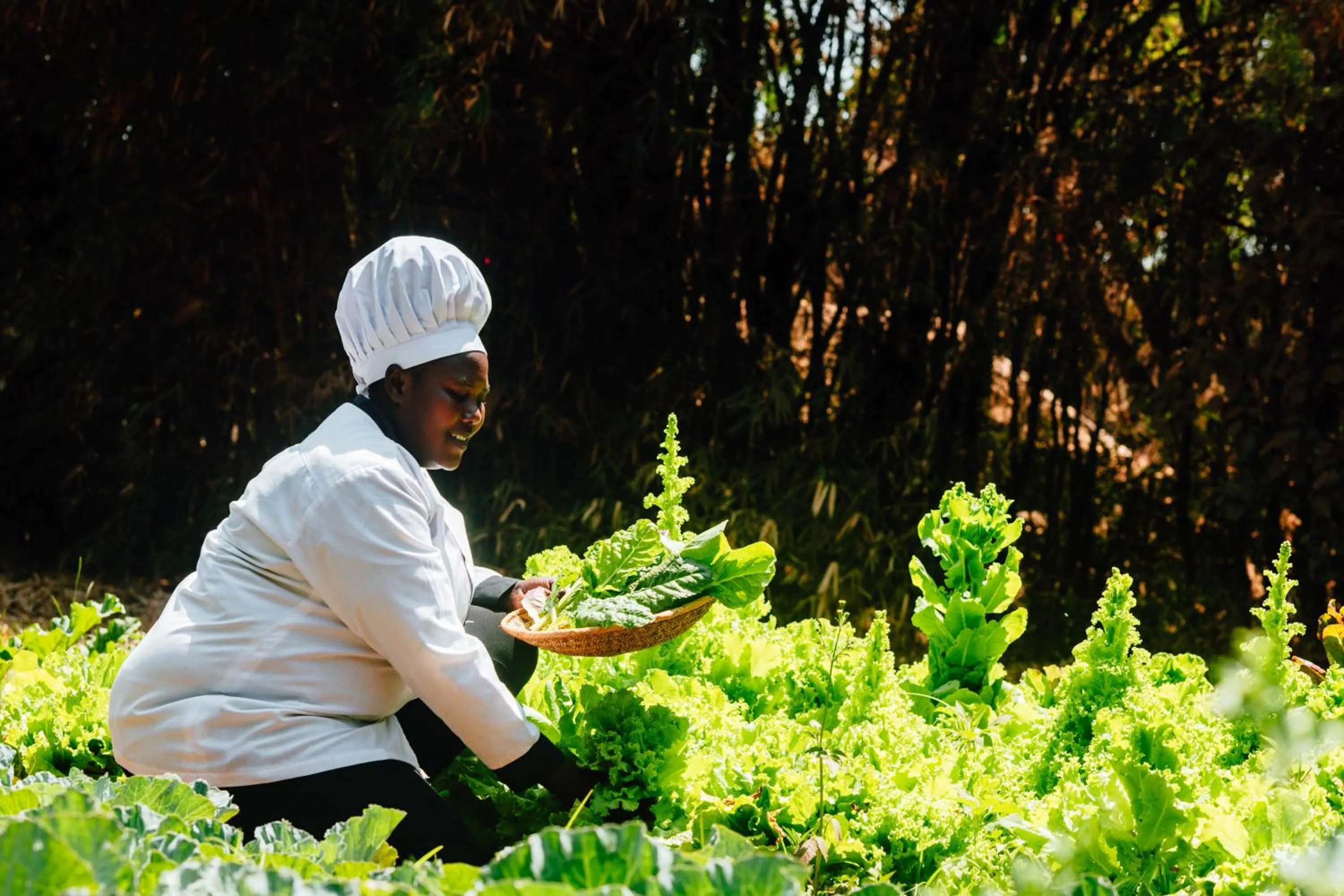 Garden in Octagon Lodge