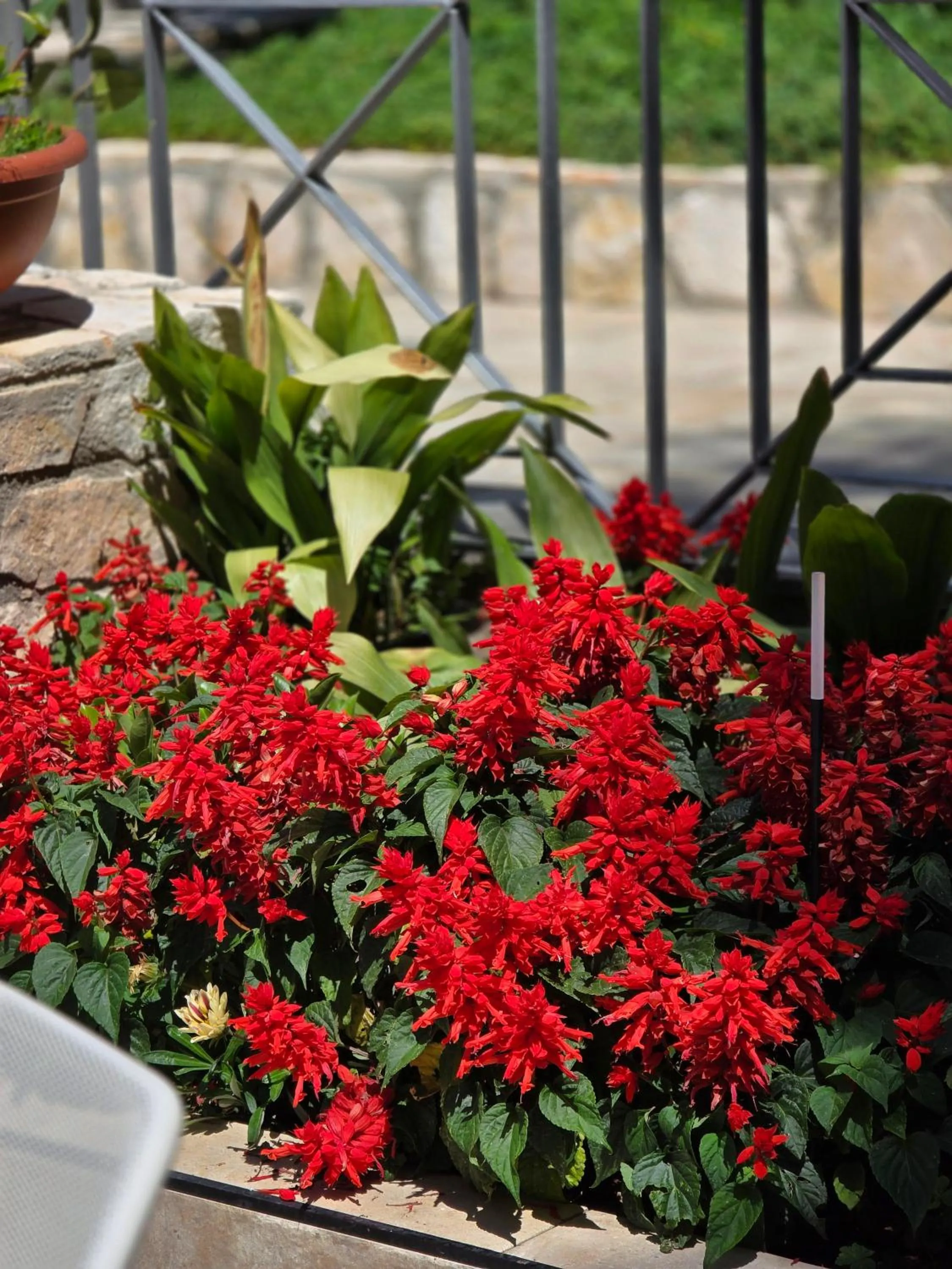 Spring in Oasi Relais