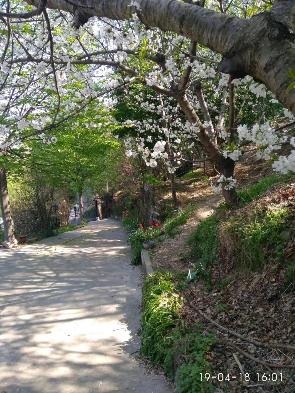 Garden in Segni e Impronta