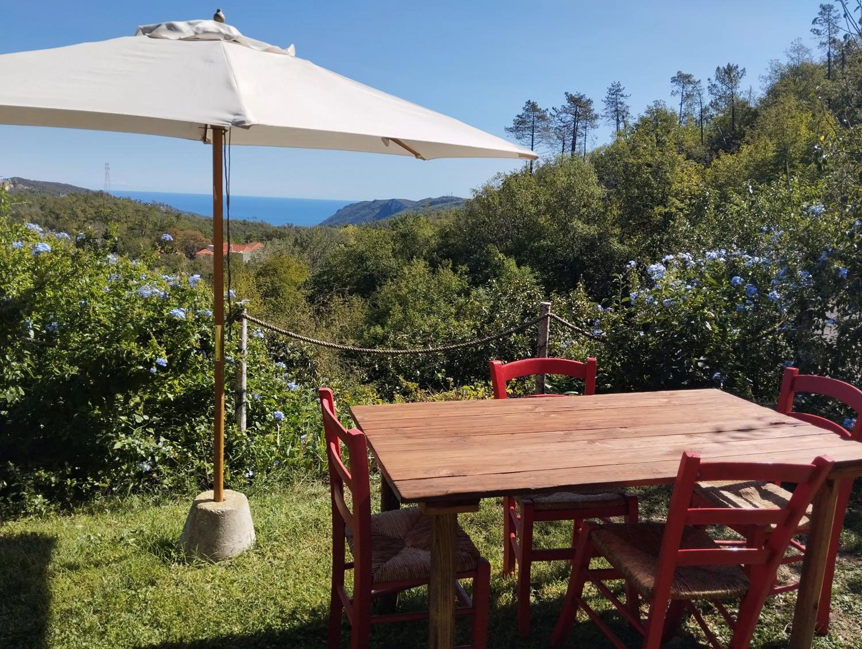 Spring in Segni e Impronta