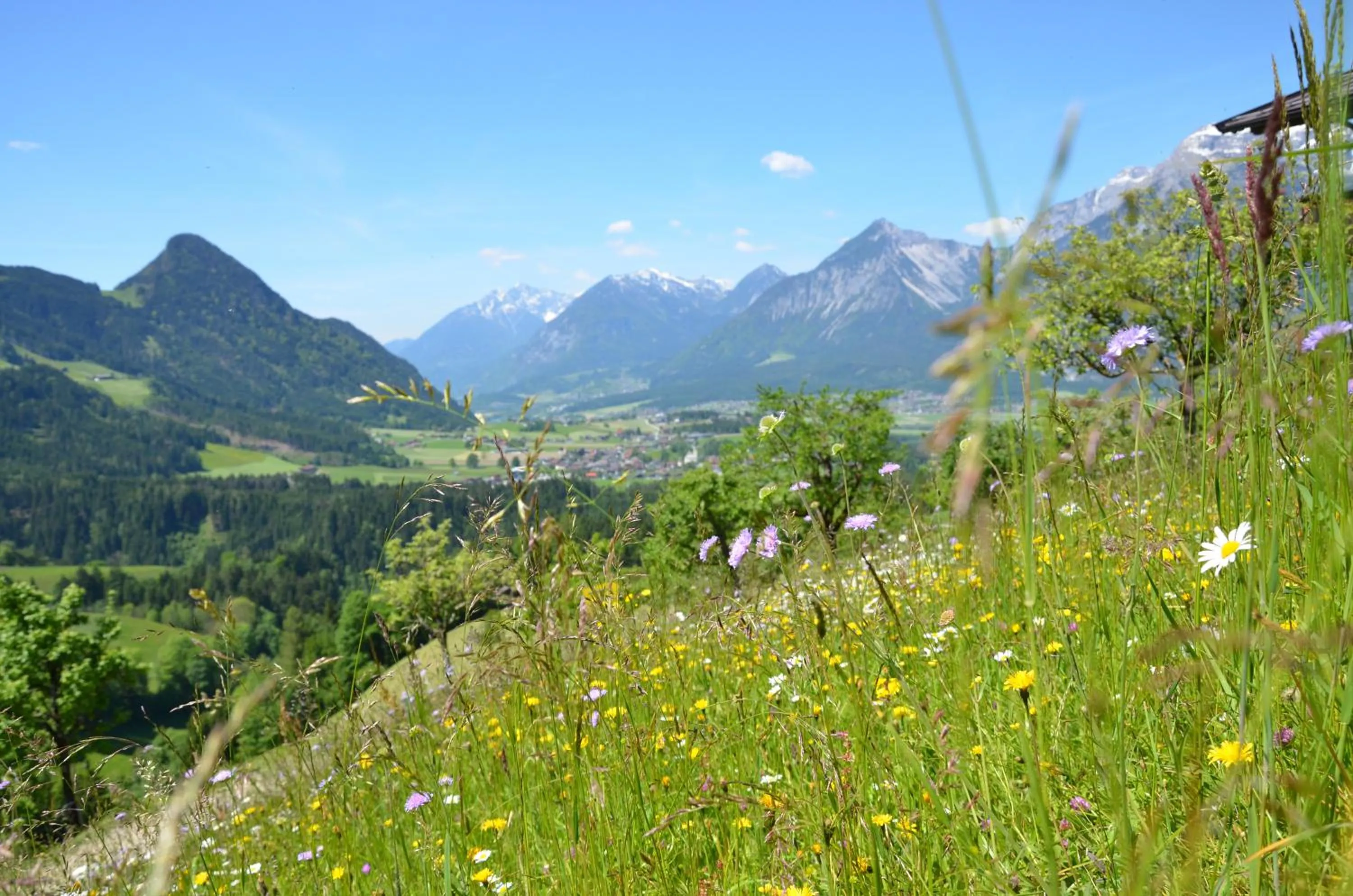 Garden view in Hotel & Alpengasthof Pinzgerhof