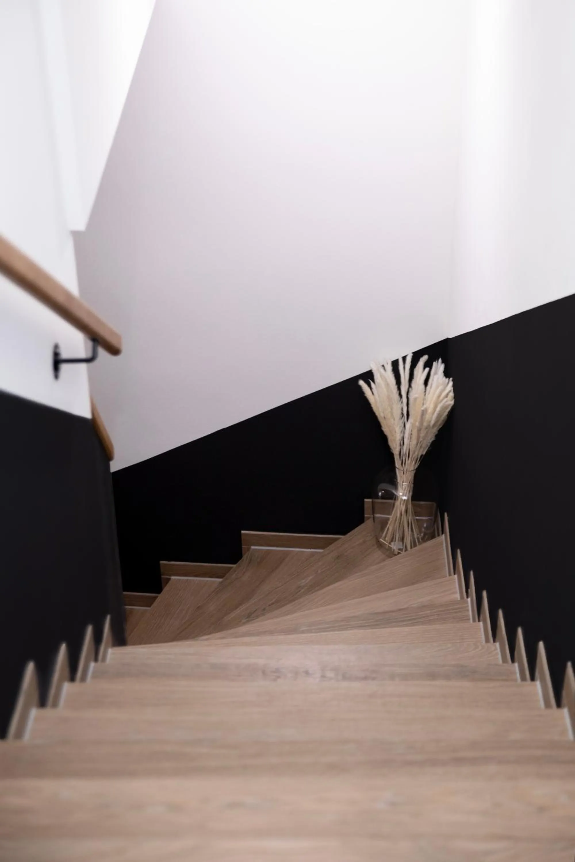 Other in Bob W Beethoven