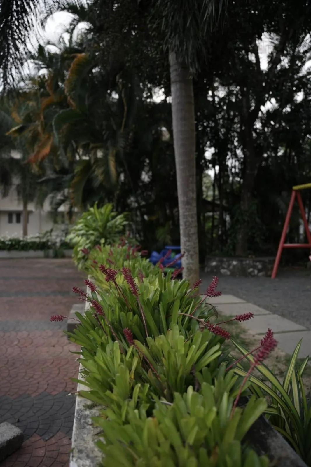 Wayanad Cliff Hotel Apartments