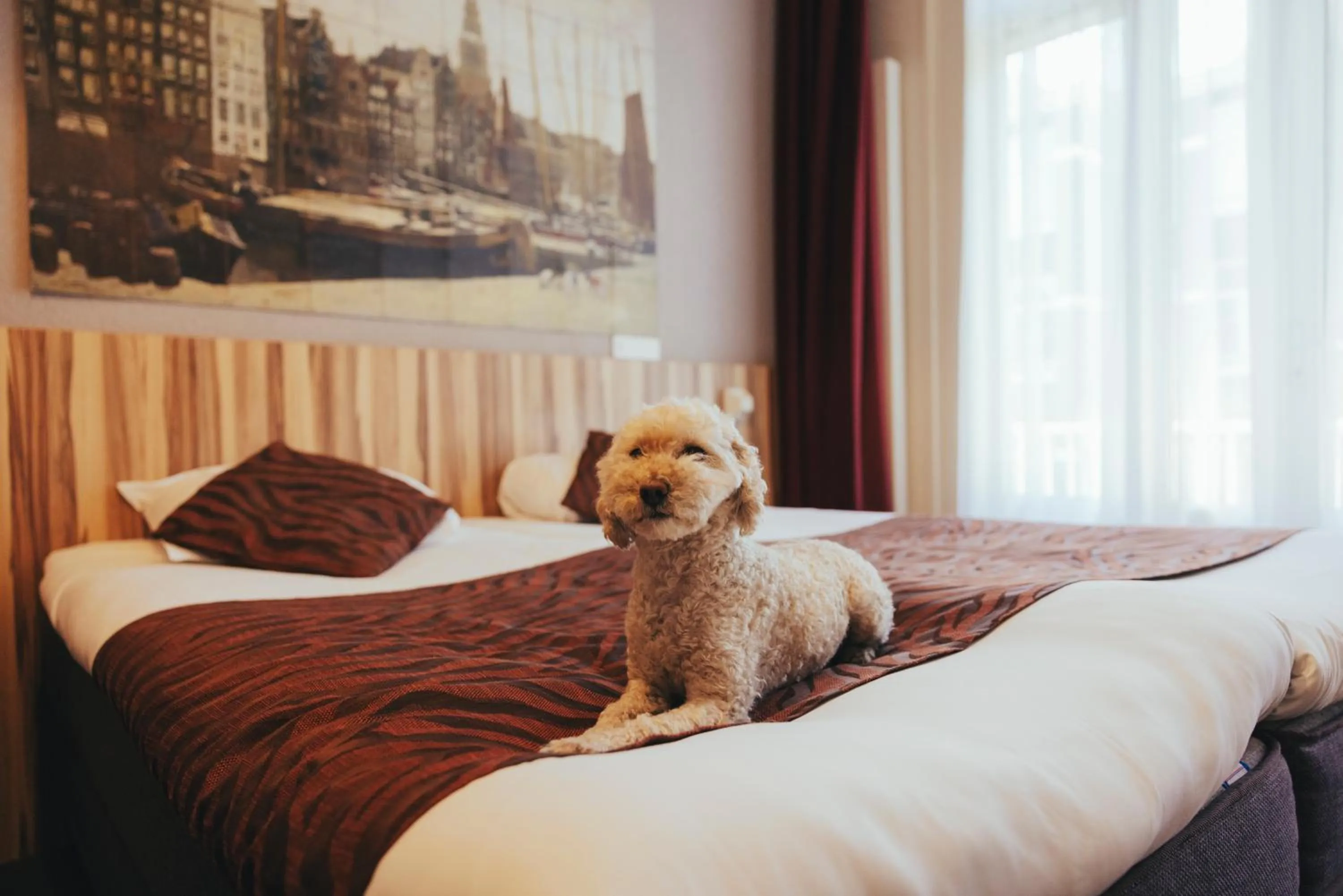 Property building, Bed in Hotel Asterisk, a family run hotel