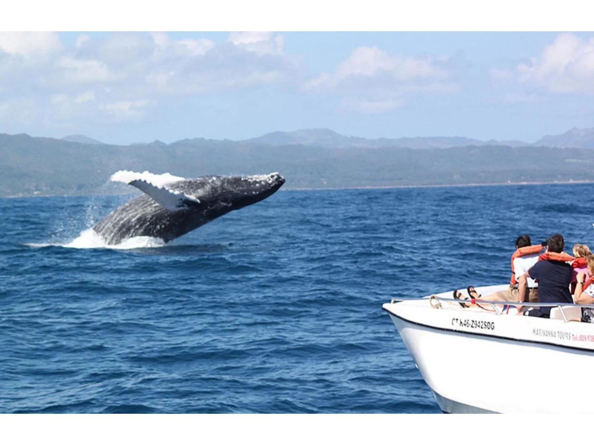 Natural landscape in Appart-hotel Veras Samana No 13