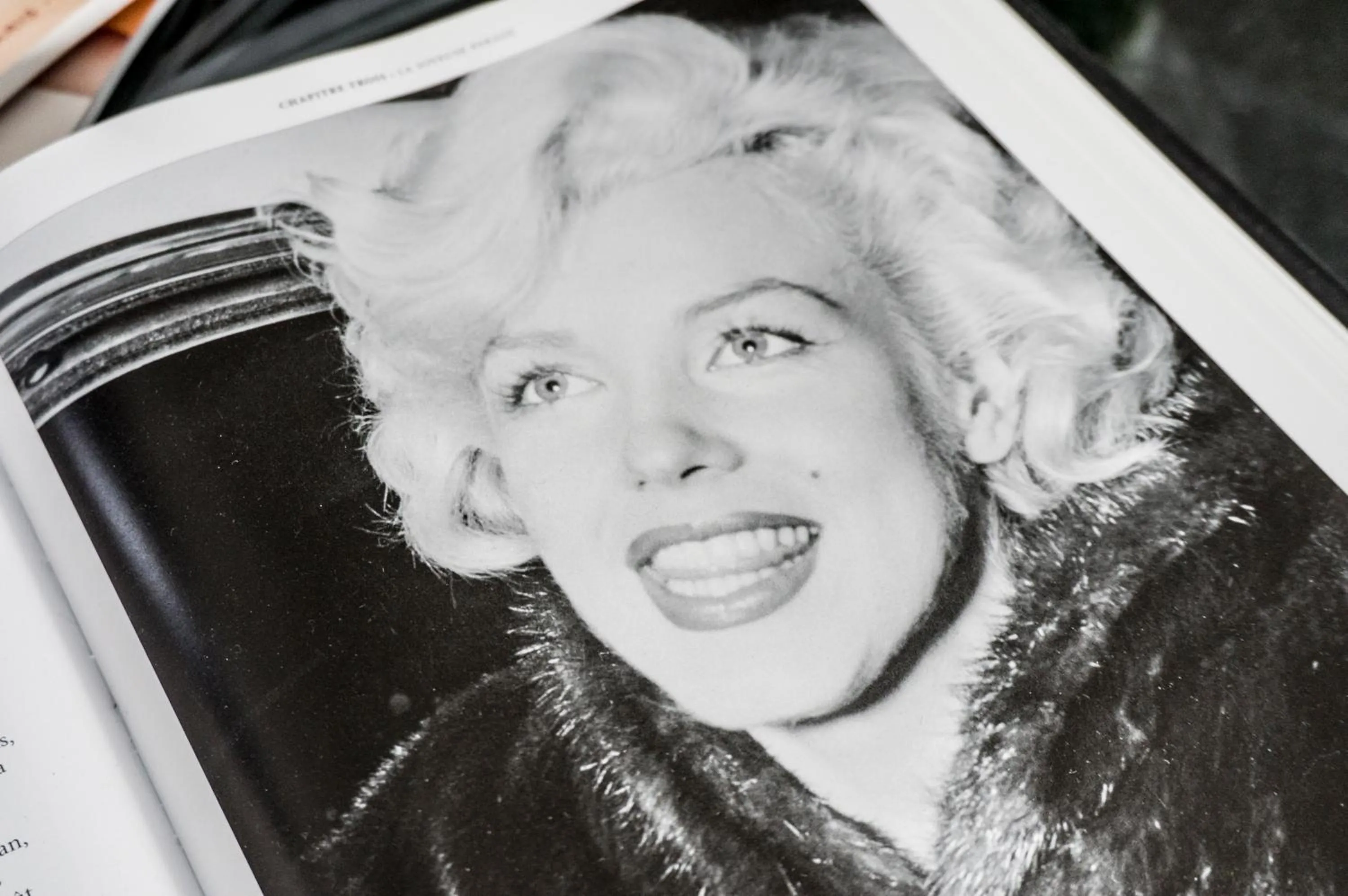 Decorative detail in The Queen Luxury Apartments - Villa Marilyn