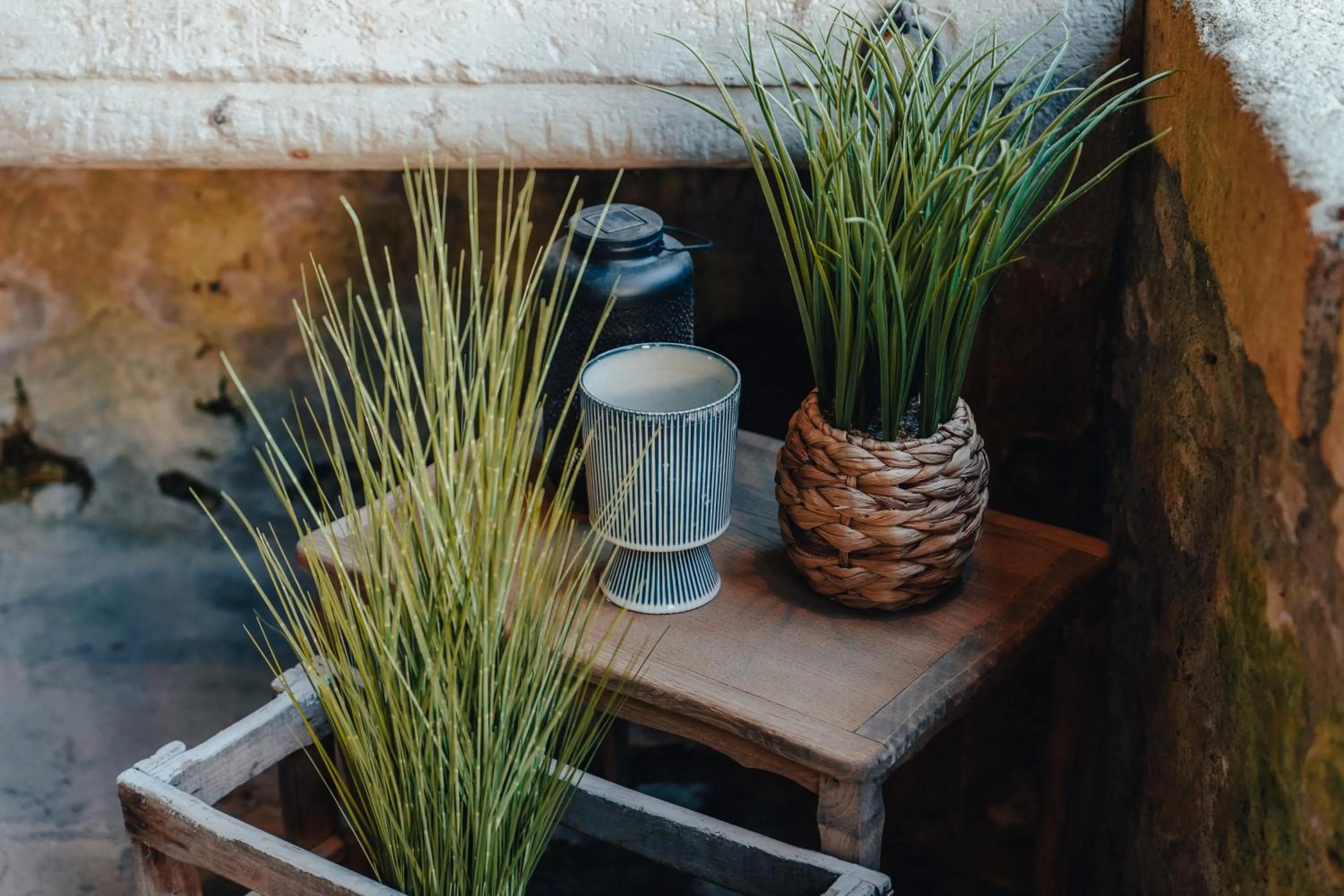 Garden in Hôtel l'Abbaye
