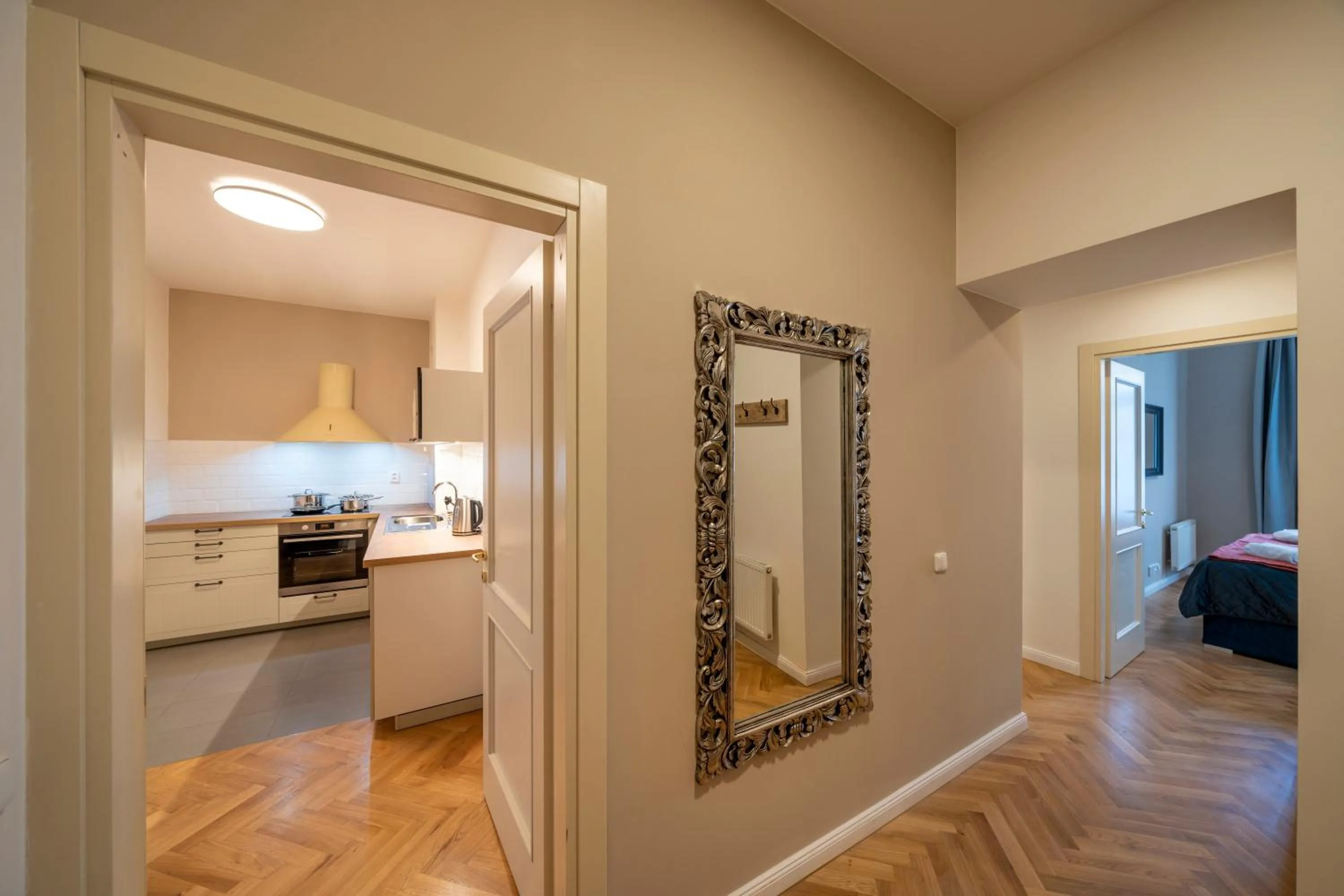 Kitchen or kitchenette in Apart Hotel Zborovska