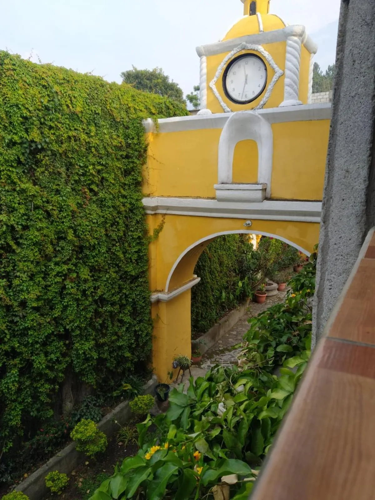 Garden view in Ciudad Vieja Bed & Breakfast Hotel Casa del Turista