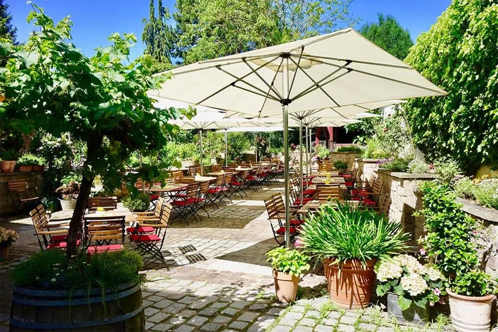 Garden in Zinsers Appartements im Flämmle