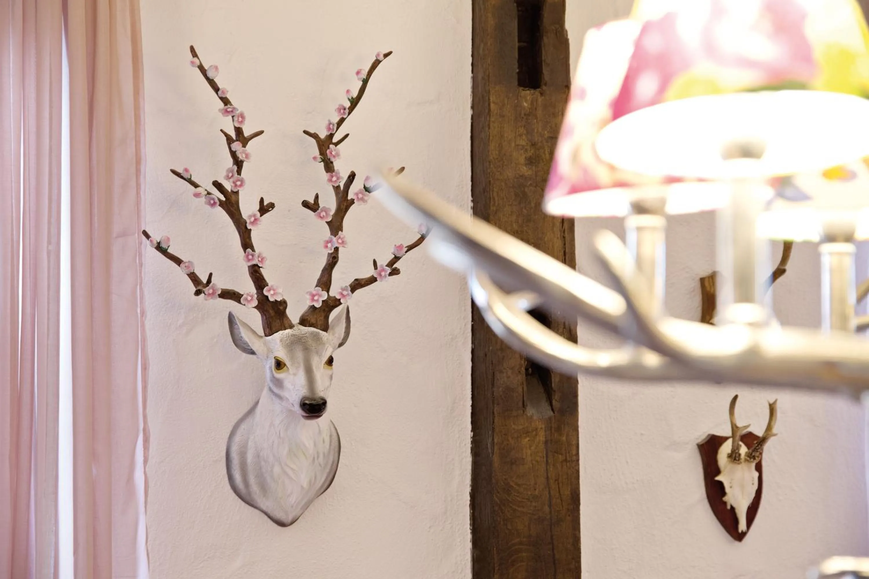 Restaurant/places to eat in Zinsers Appartements im Flämmle