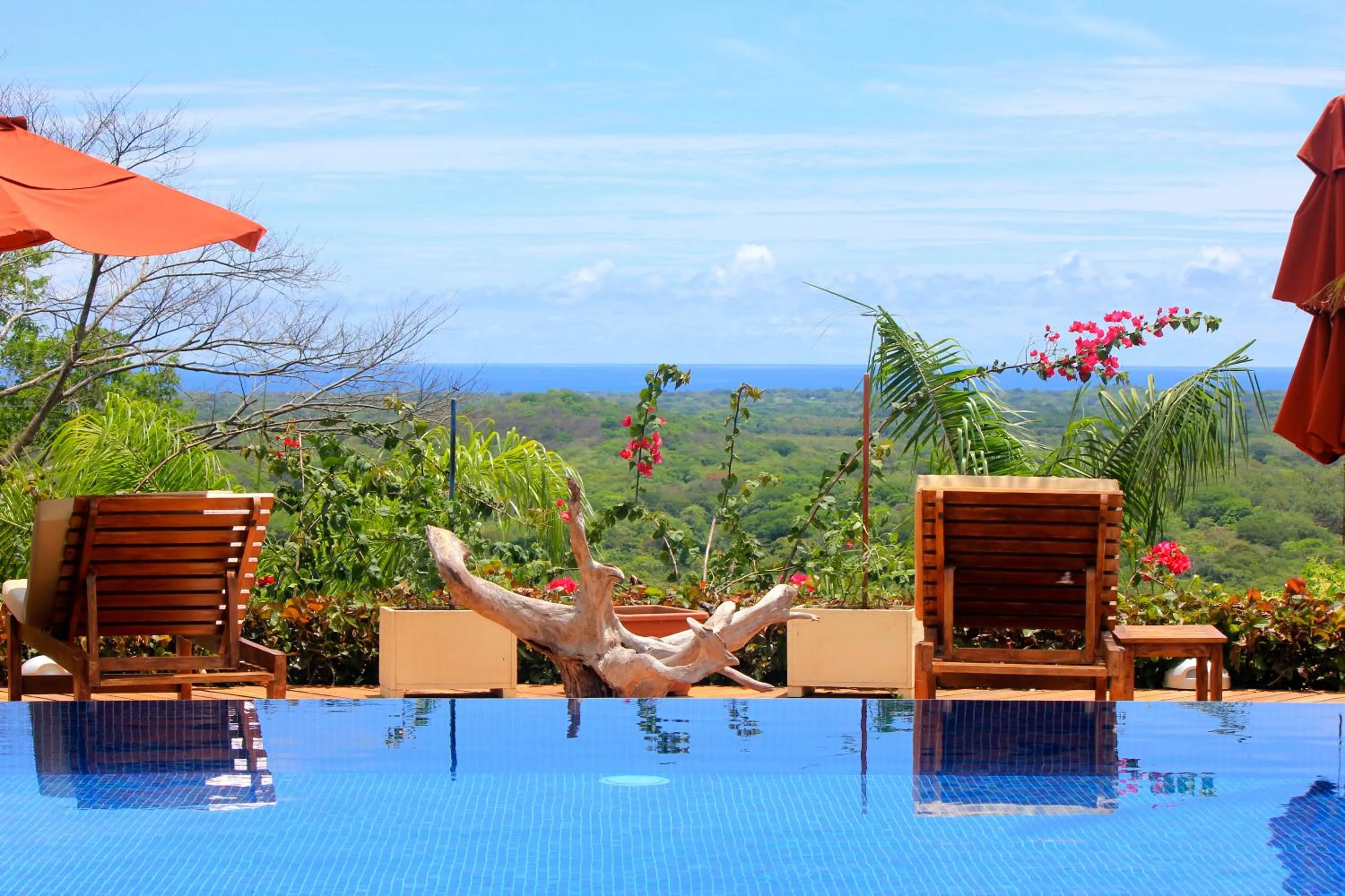 Swimming pool in Los Altos de Eros - Adults Only