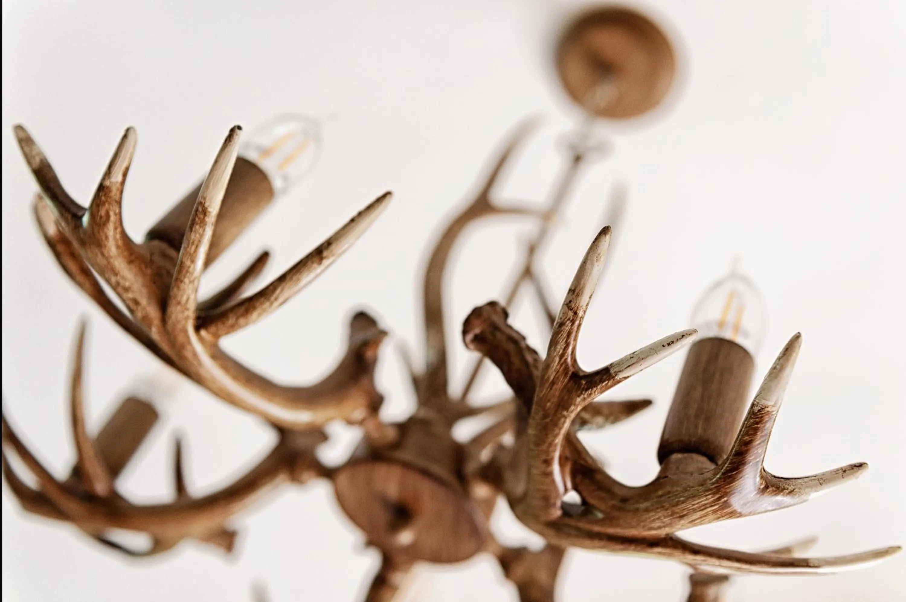 Decorative detail in The Coach House